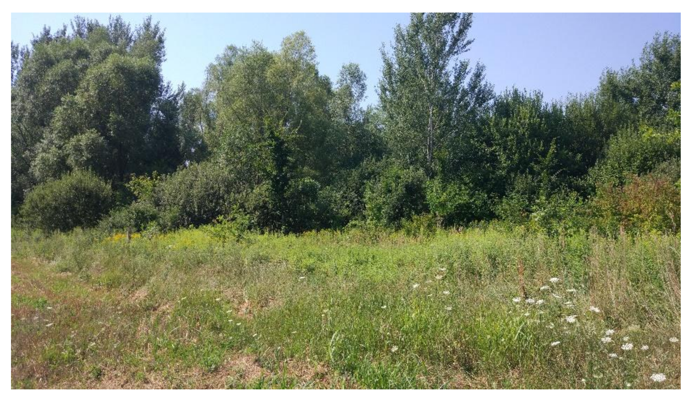 Sustainability 13 06676 g009