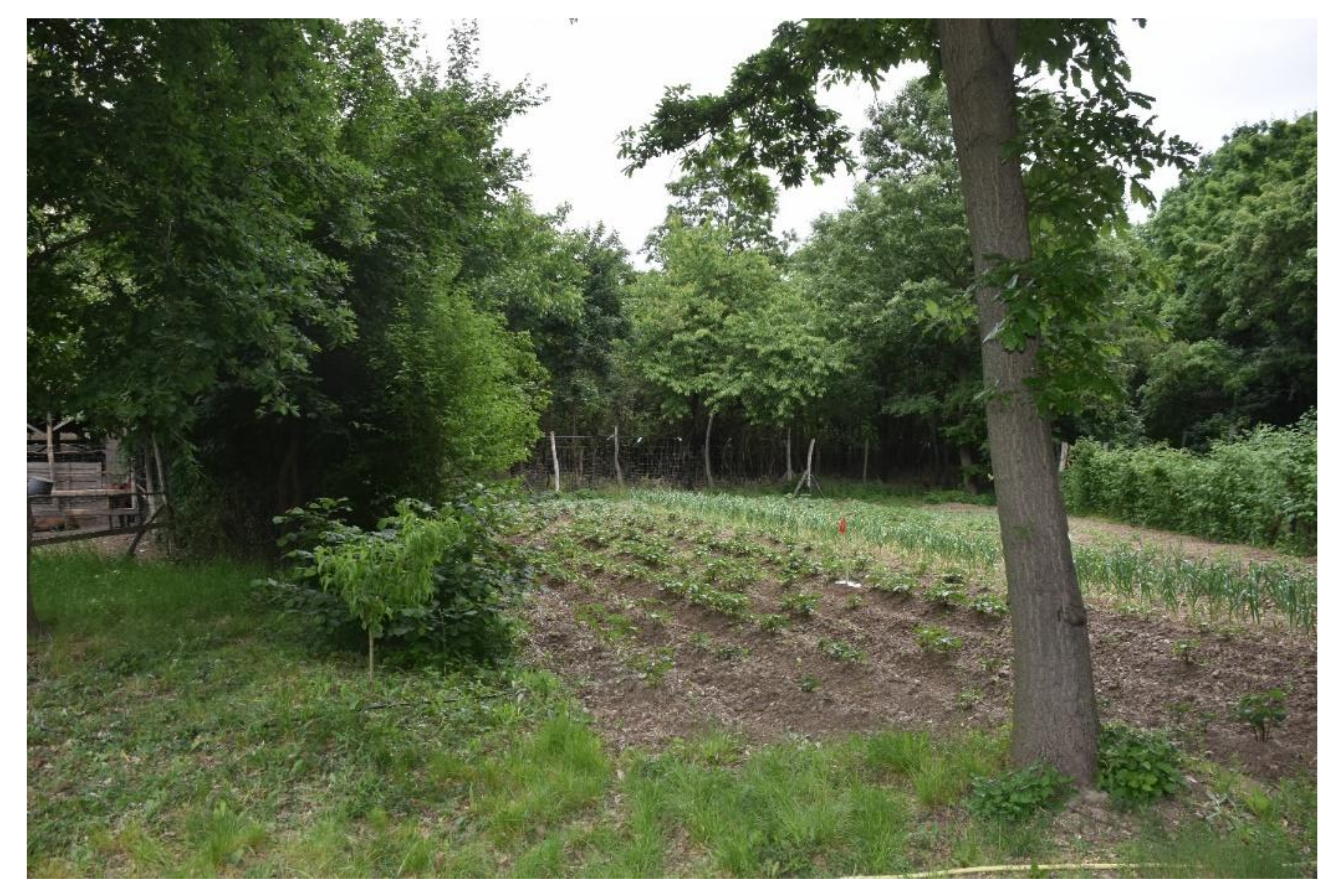 Sustainability 13 06676 g010