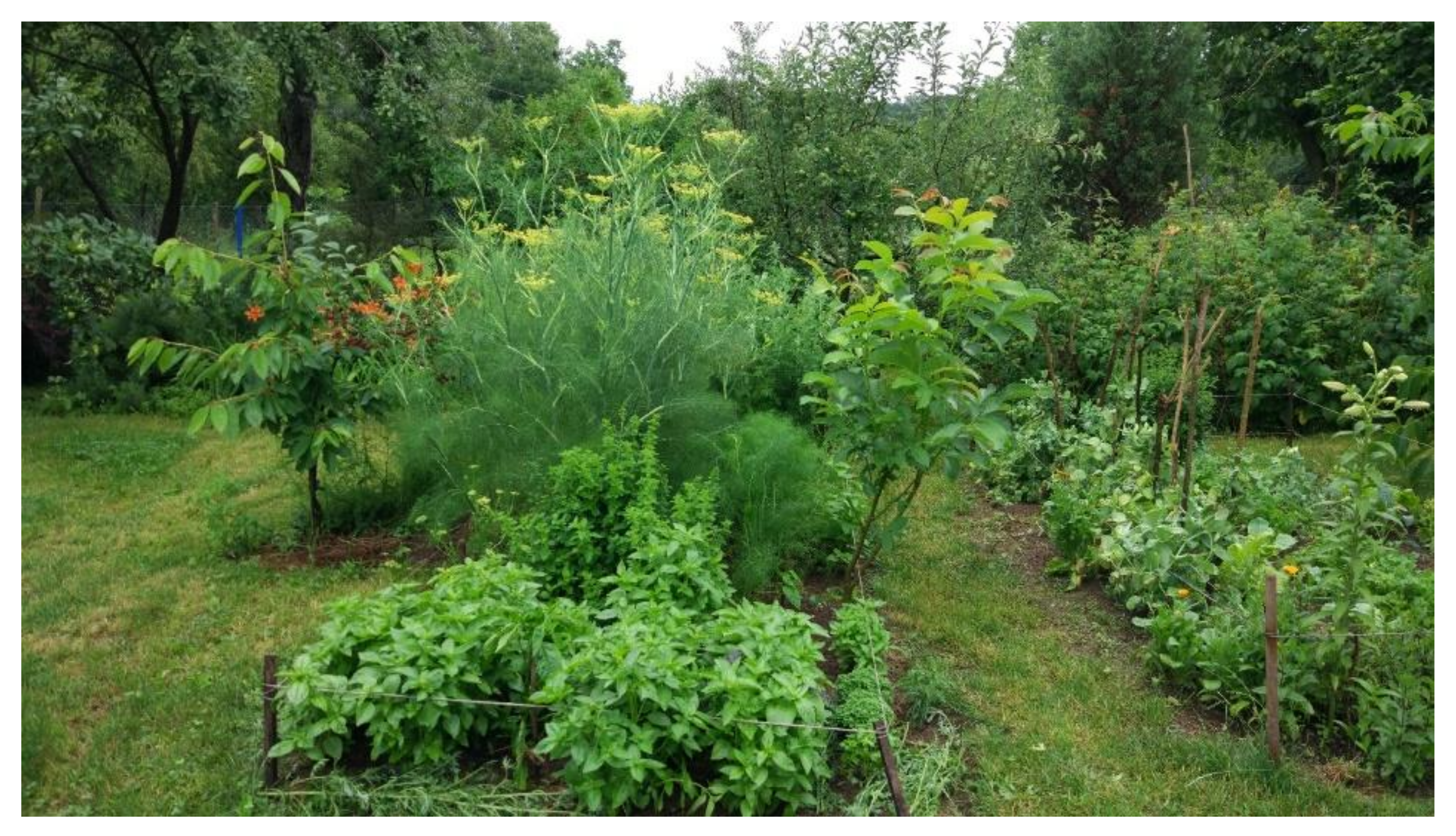 Sustainability 13 06676 g012