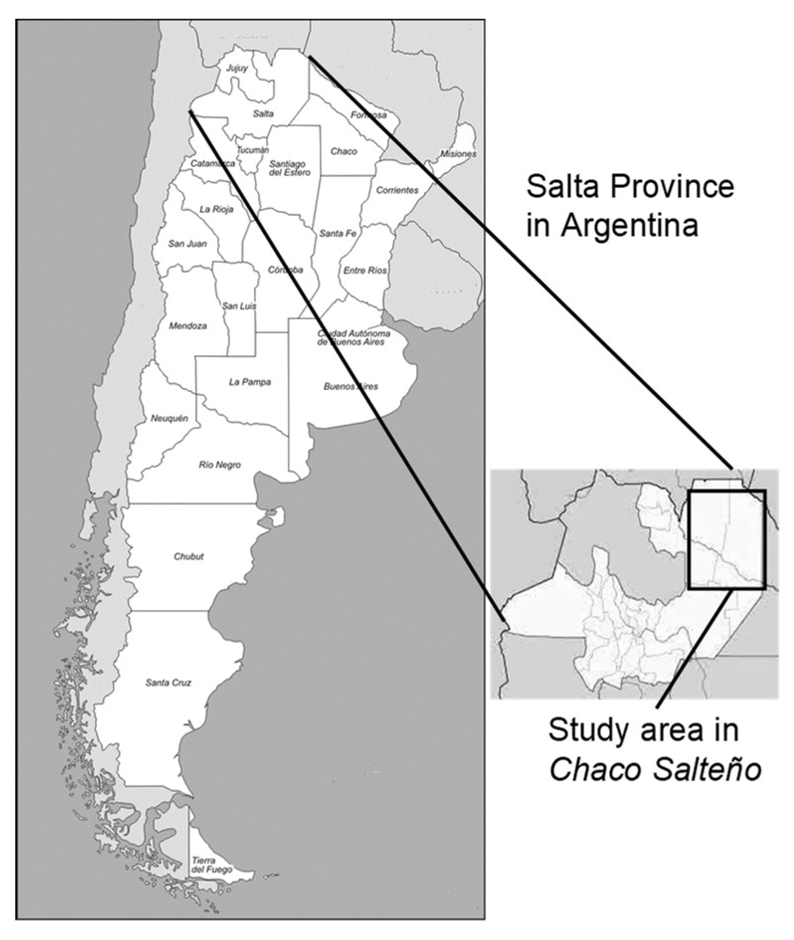 Sustainability 13 06705 g001