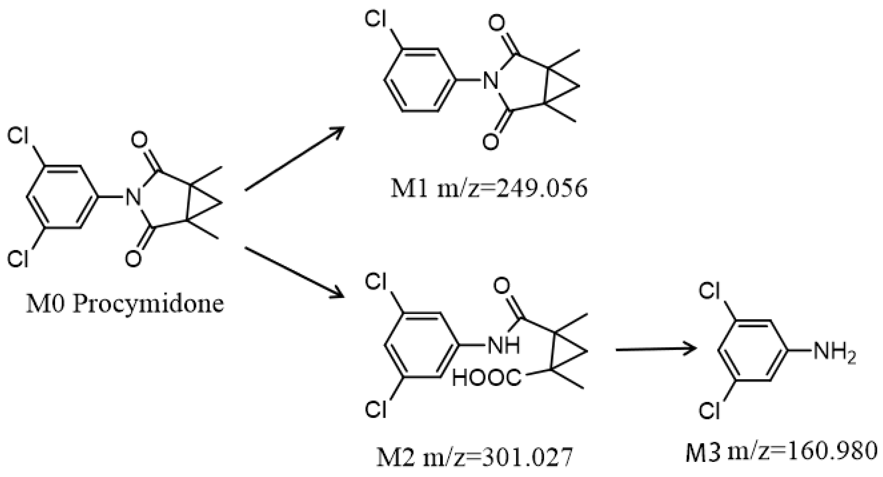 Sustainability 13 06712 g004