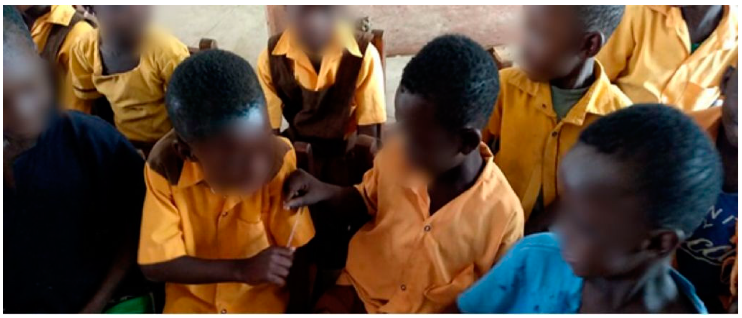 Sustainability 13 06727 g003