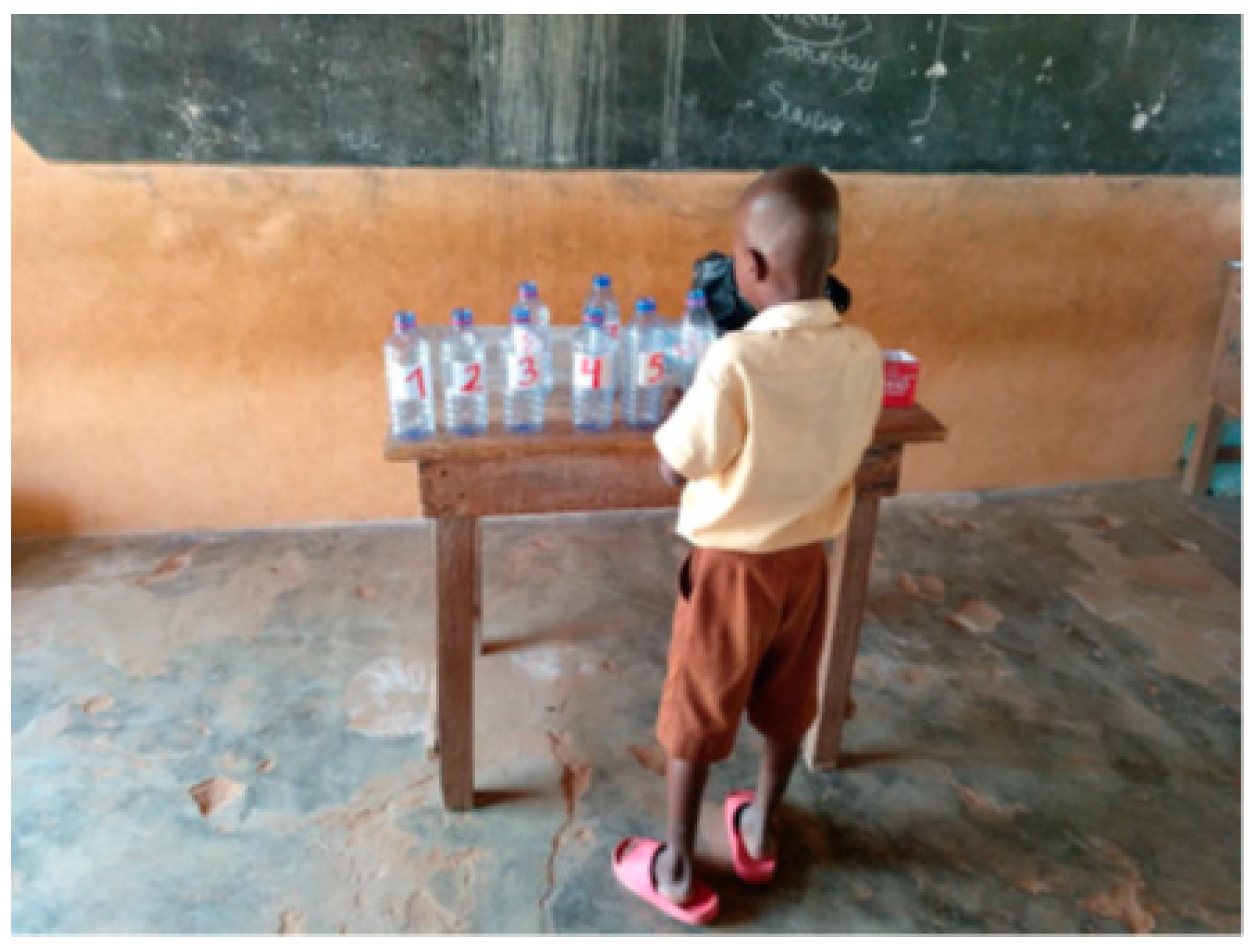 Sustainability 13 06727 g011