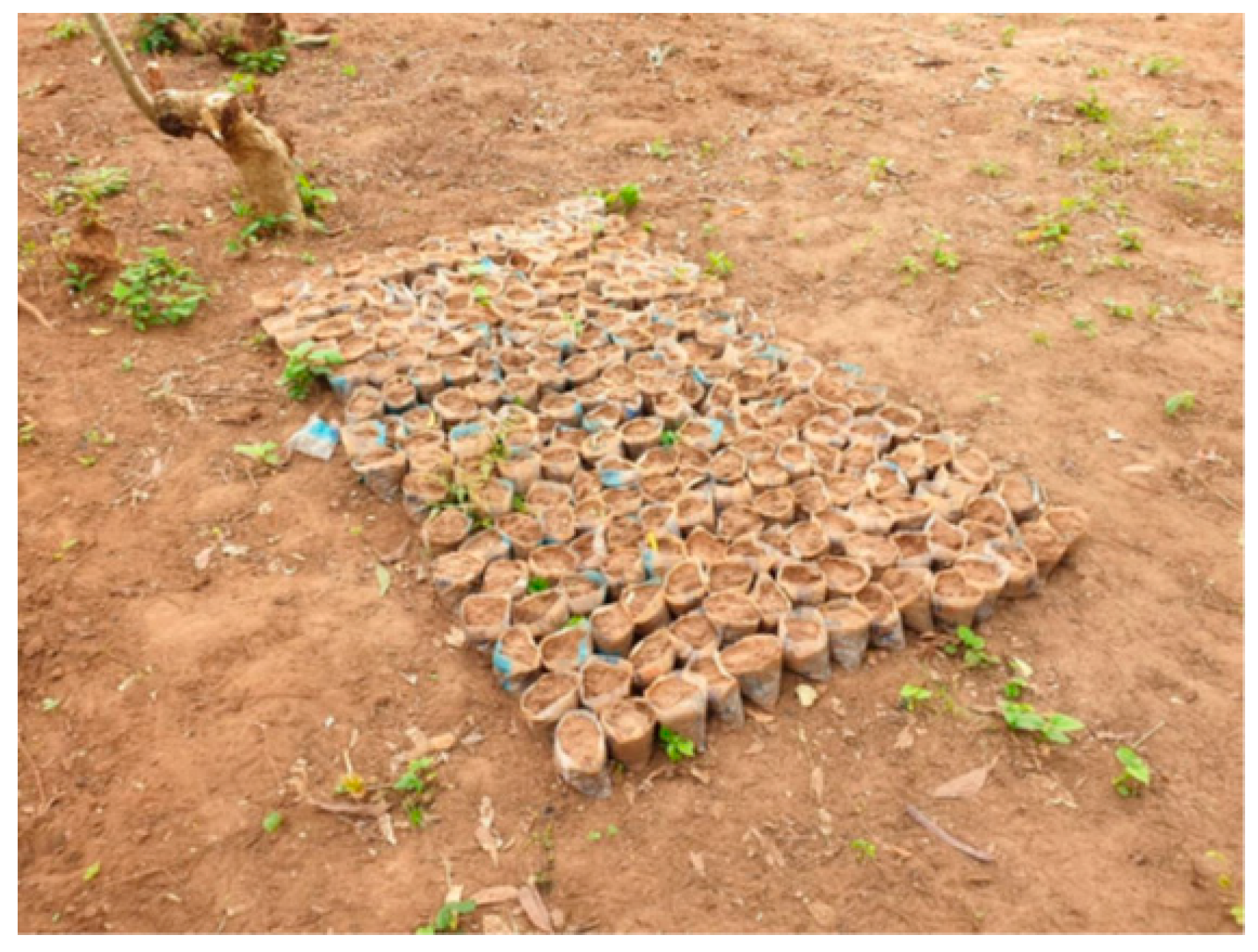 Sustainability 13 06727 g020