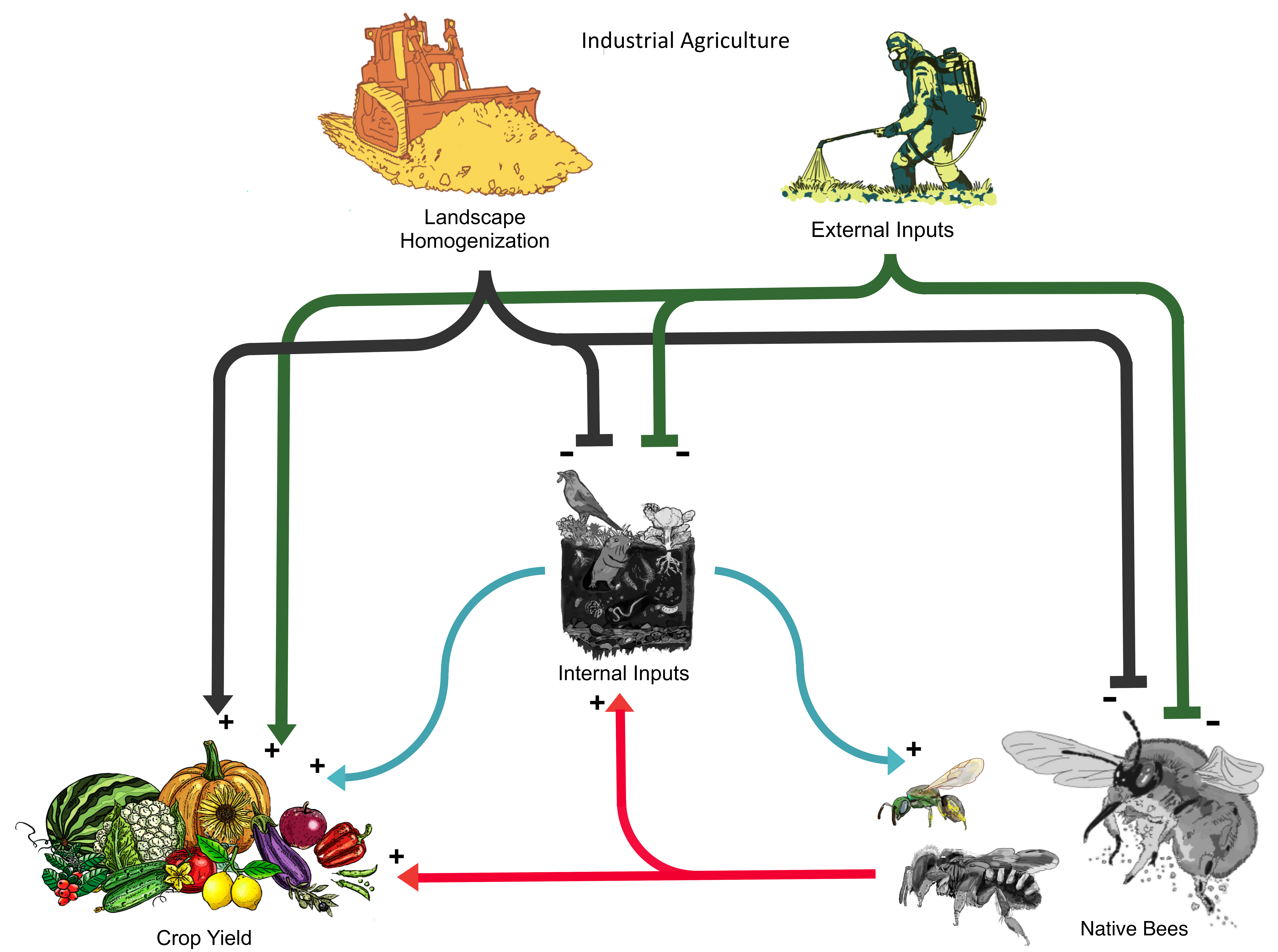 Sustainability 13 06728 g001