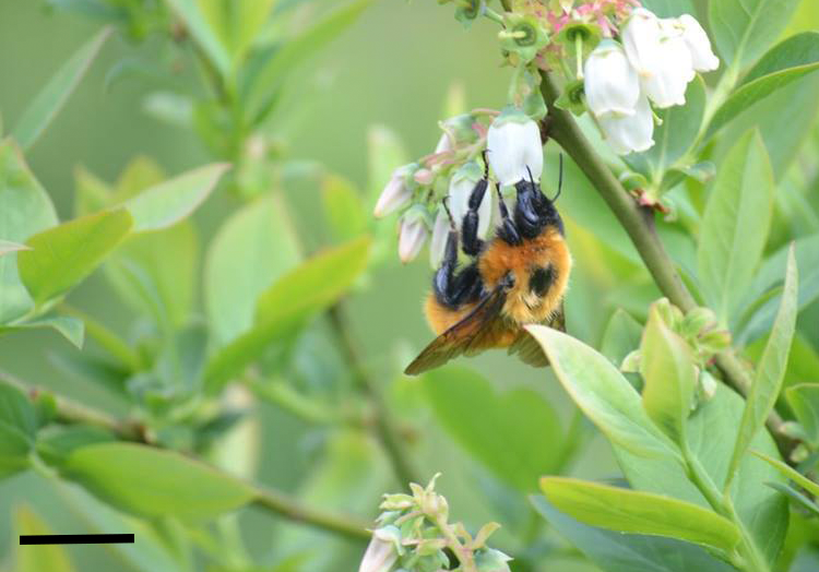 Sustainability 13 06728 g003