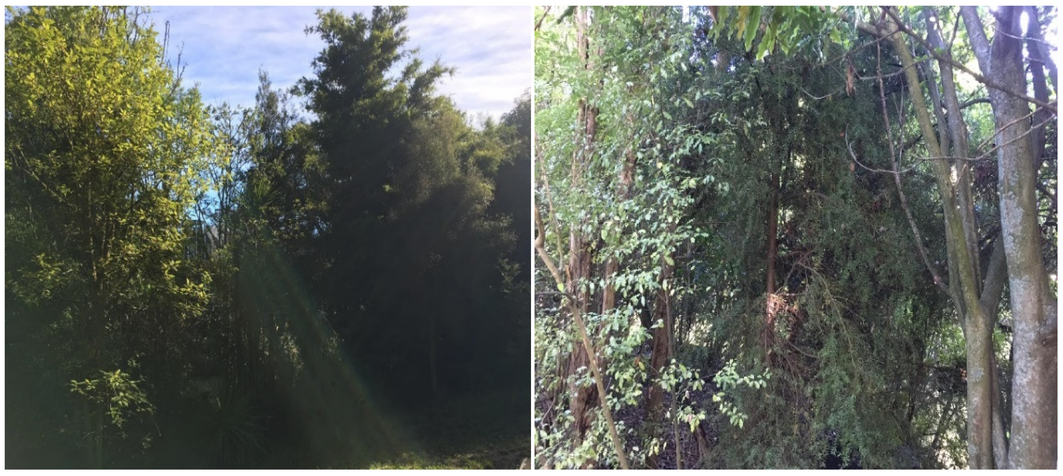 Sustainability 13 06732 g0a1 Sustainability 13 06732 g0a1