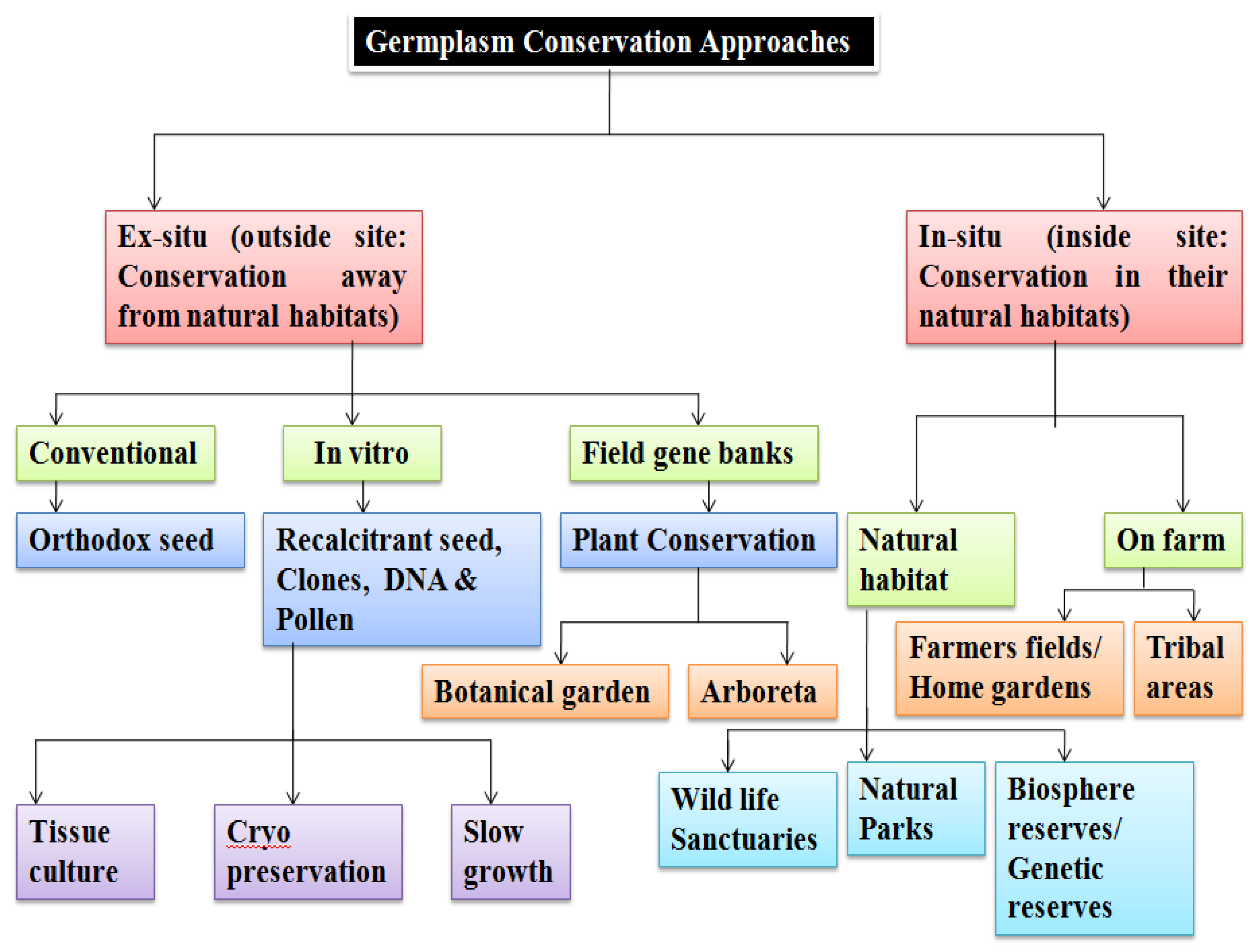 Sustainability 13 06743 g003