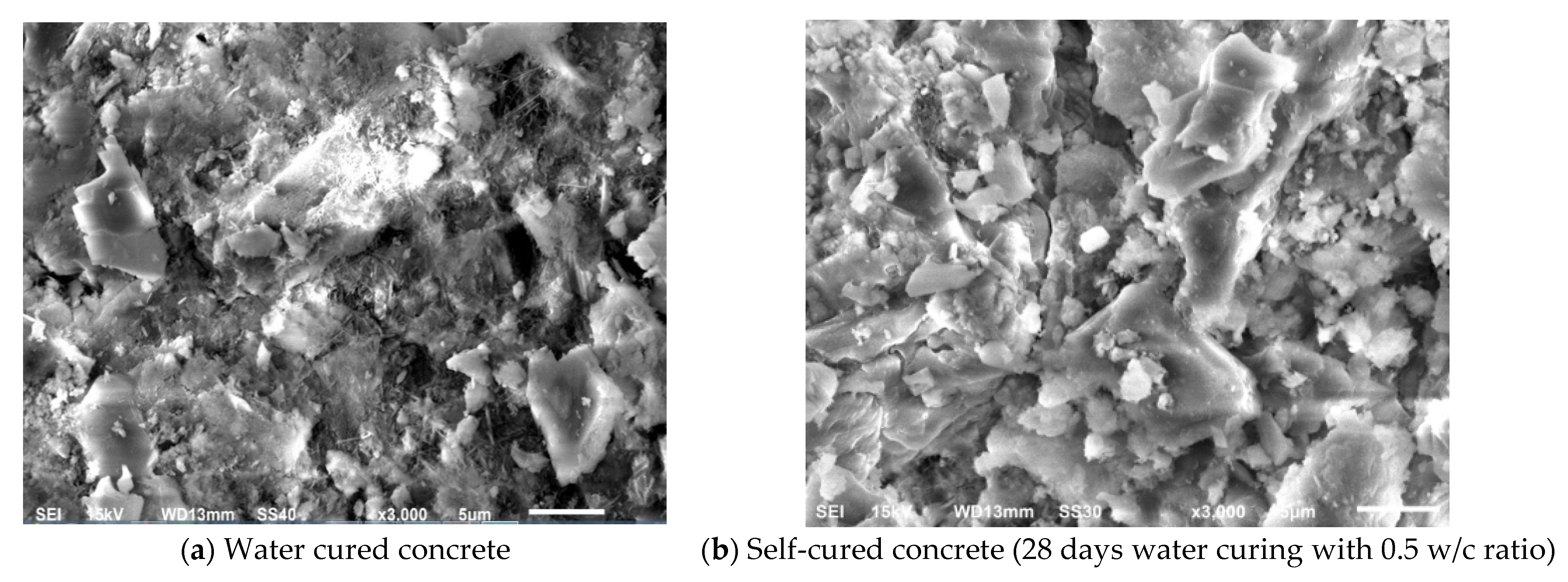 Sustainability 13 06756 g010