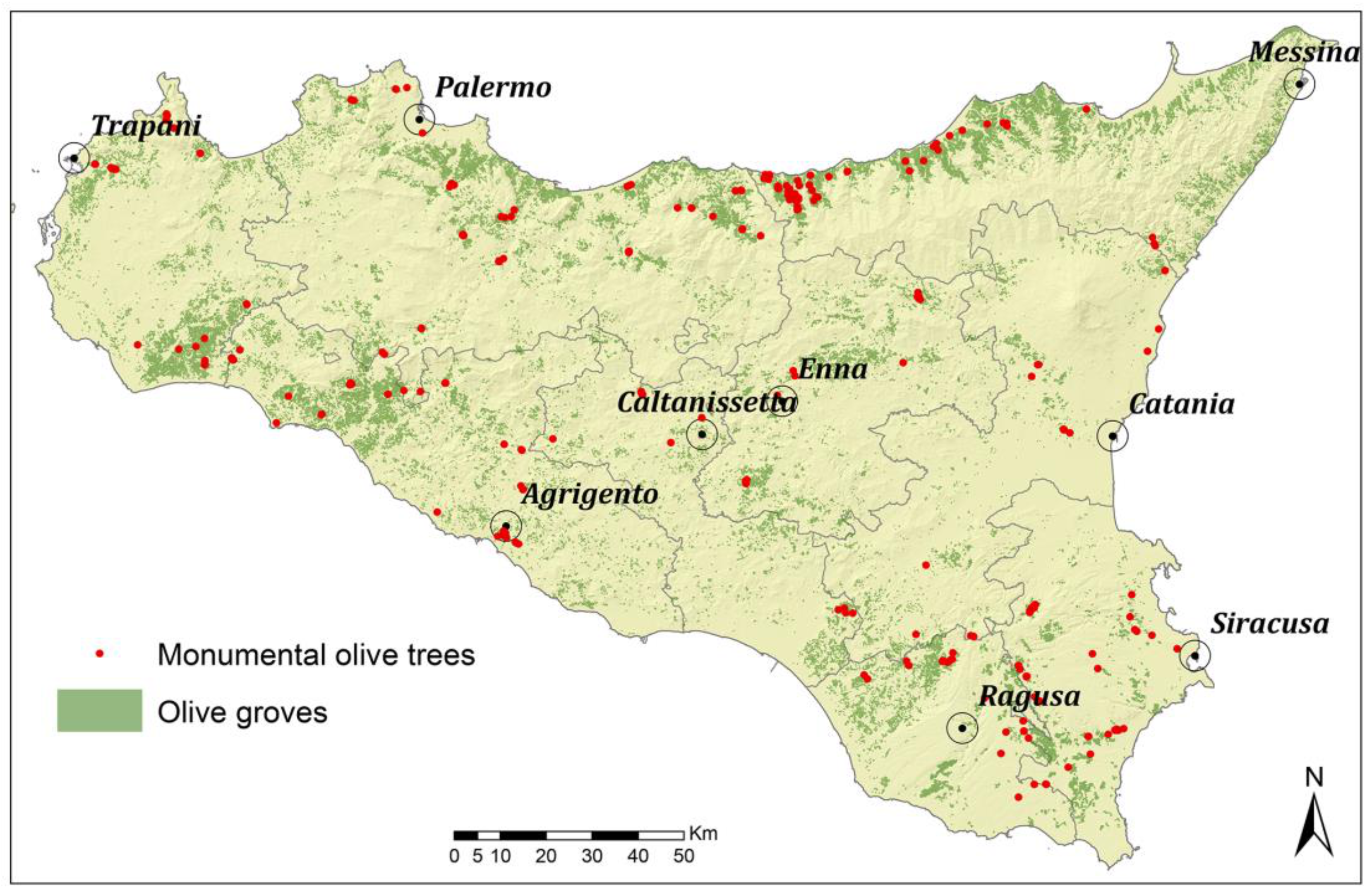 Sustainability 13 06767 g004
