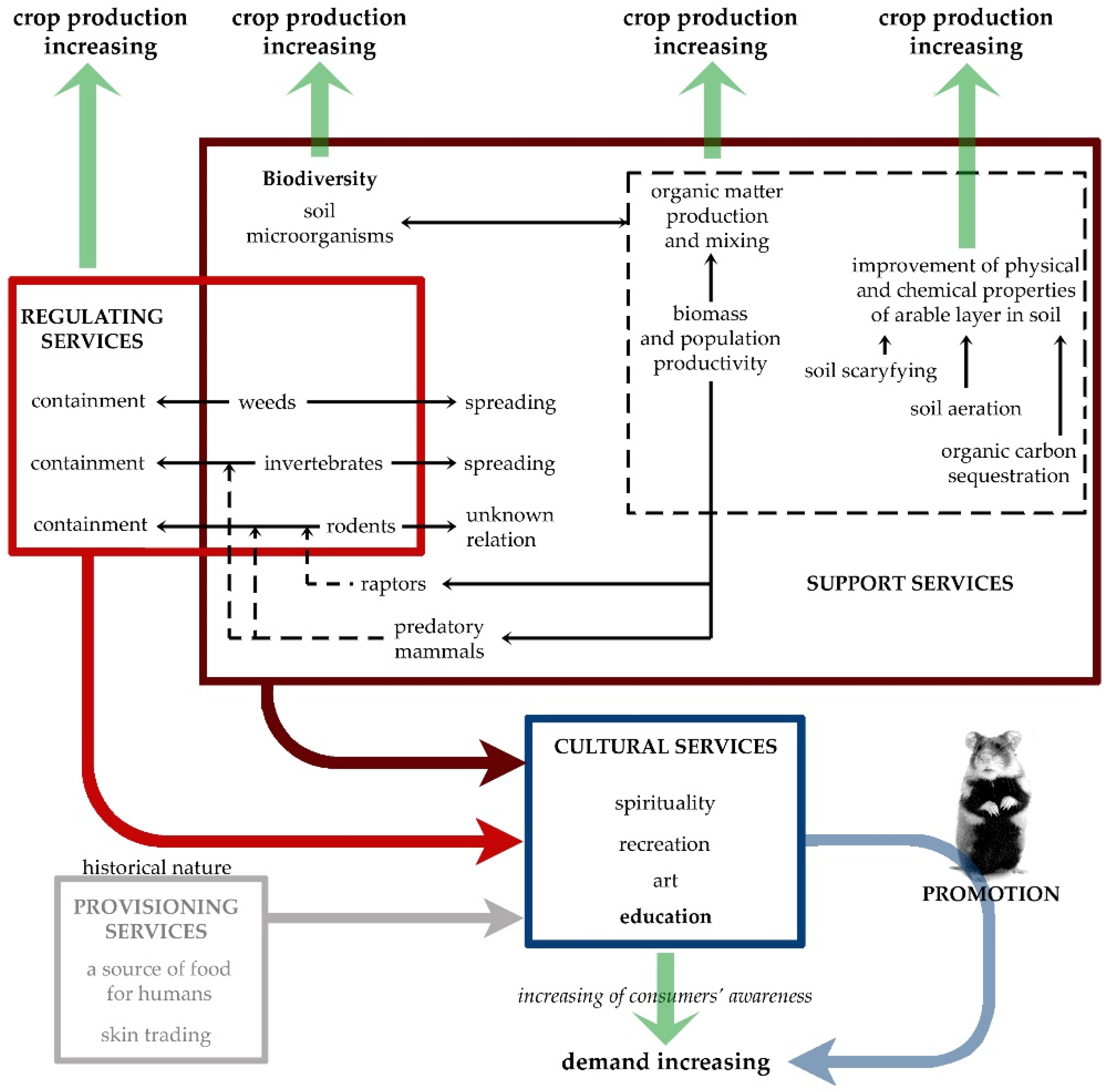 Sustainability 13 06793 g001