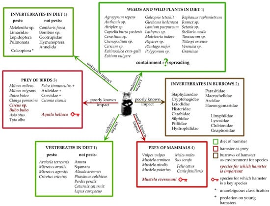 Sustainability 13 06793 g002