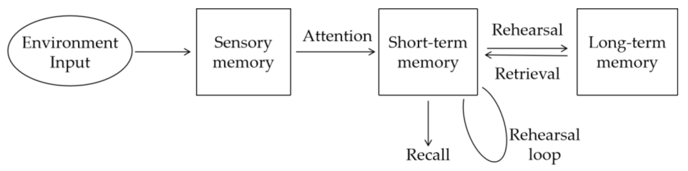 Sustainability 13 06866 g001