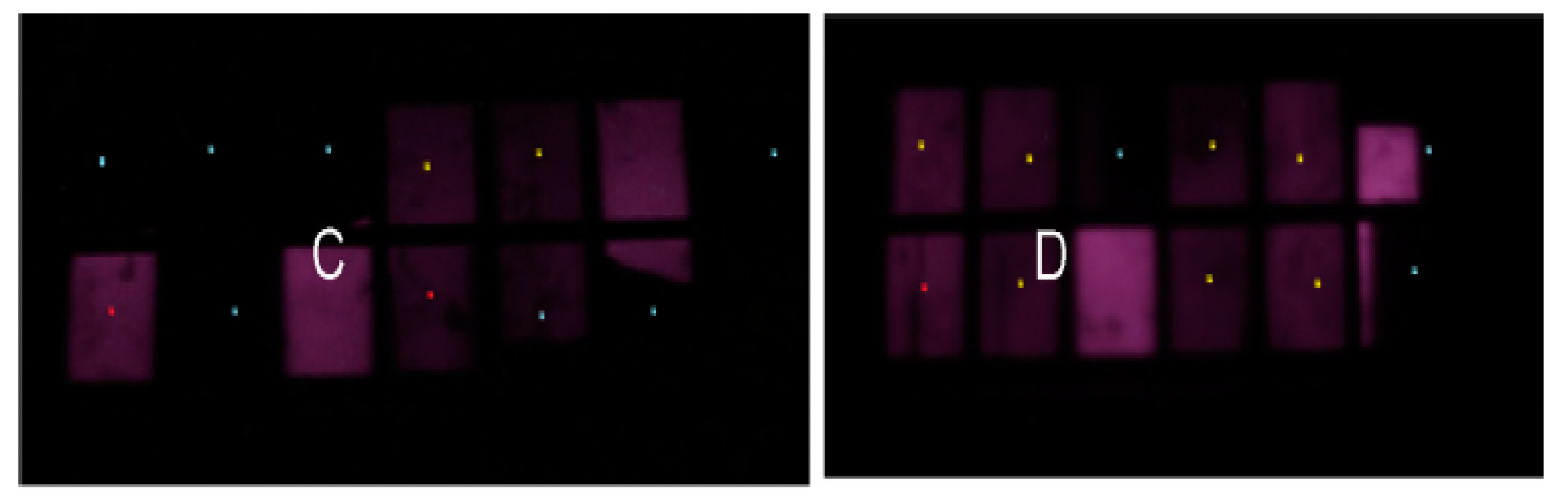 Sustainability 13 06882 g002