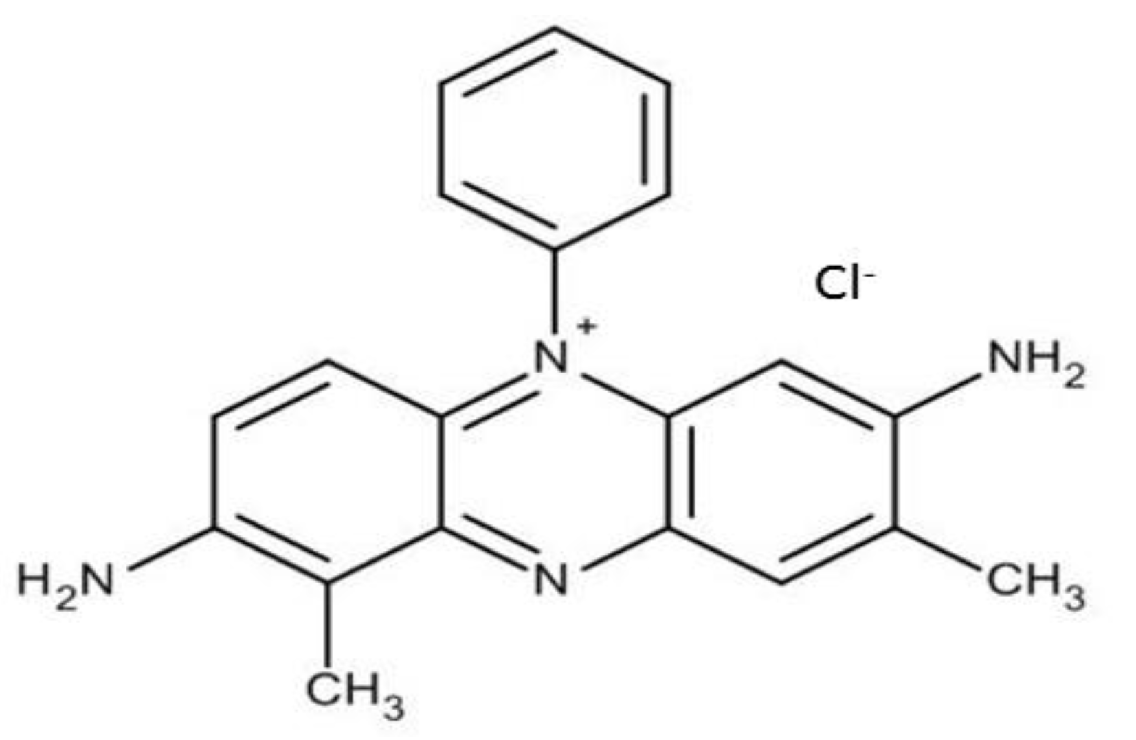 Sustainability 13 06926 g001