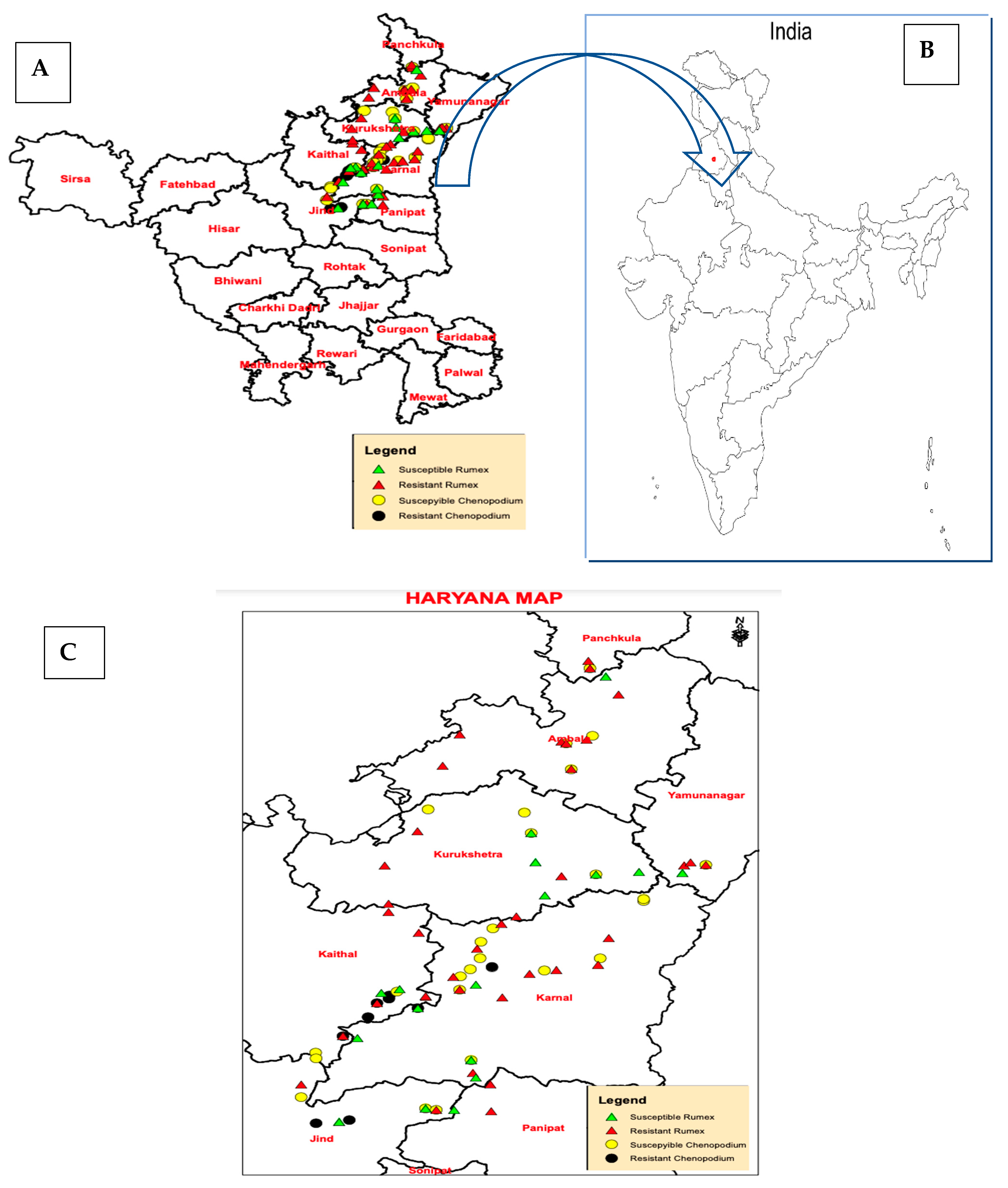 Sustainability 13 06947 g002