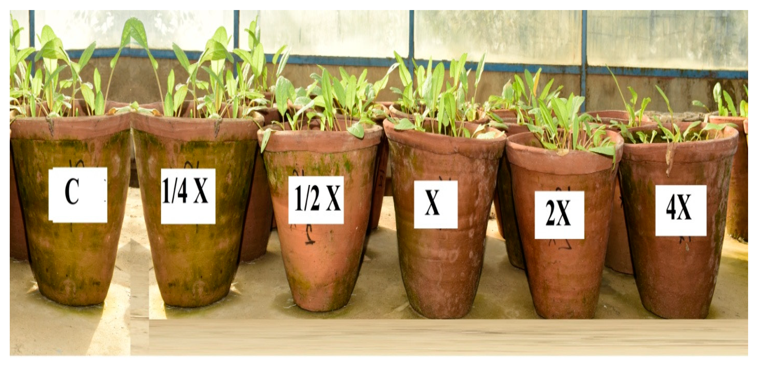 Sustainability 13 06947 g003