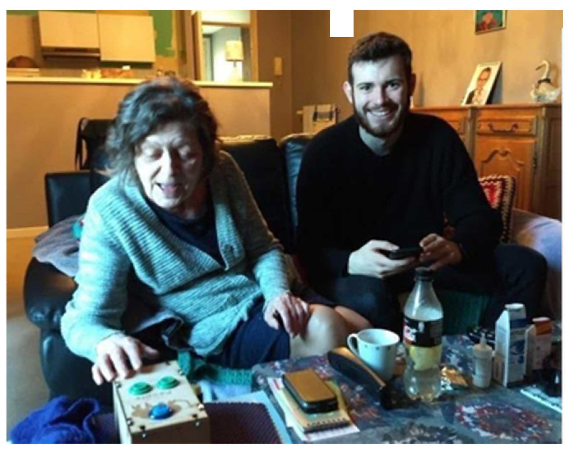 Sustainability 13 06954 g003