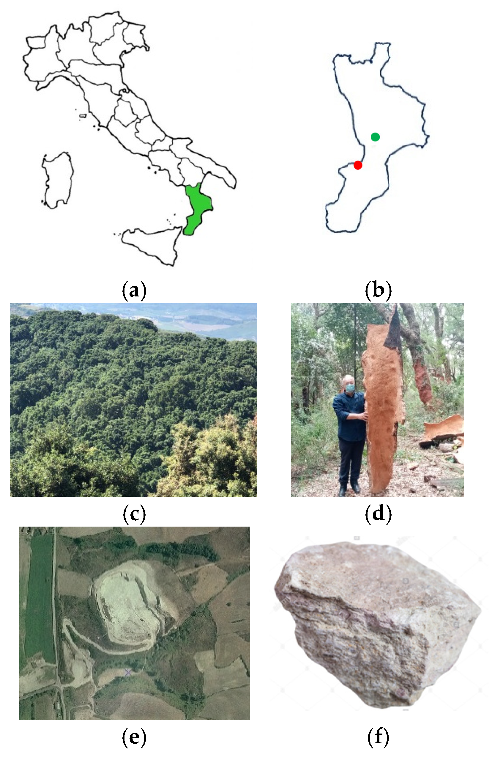 Sustainability 13 07001 g001
