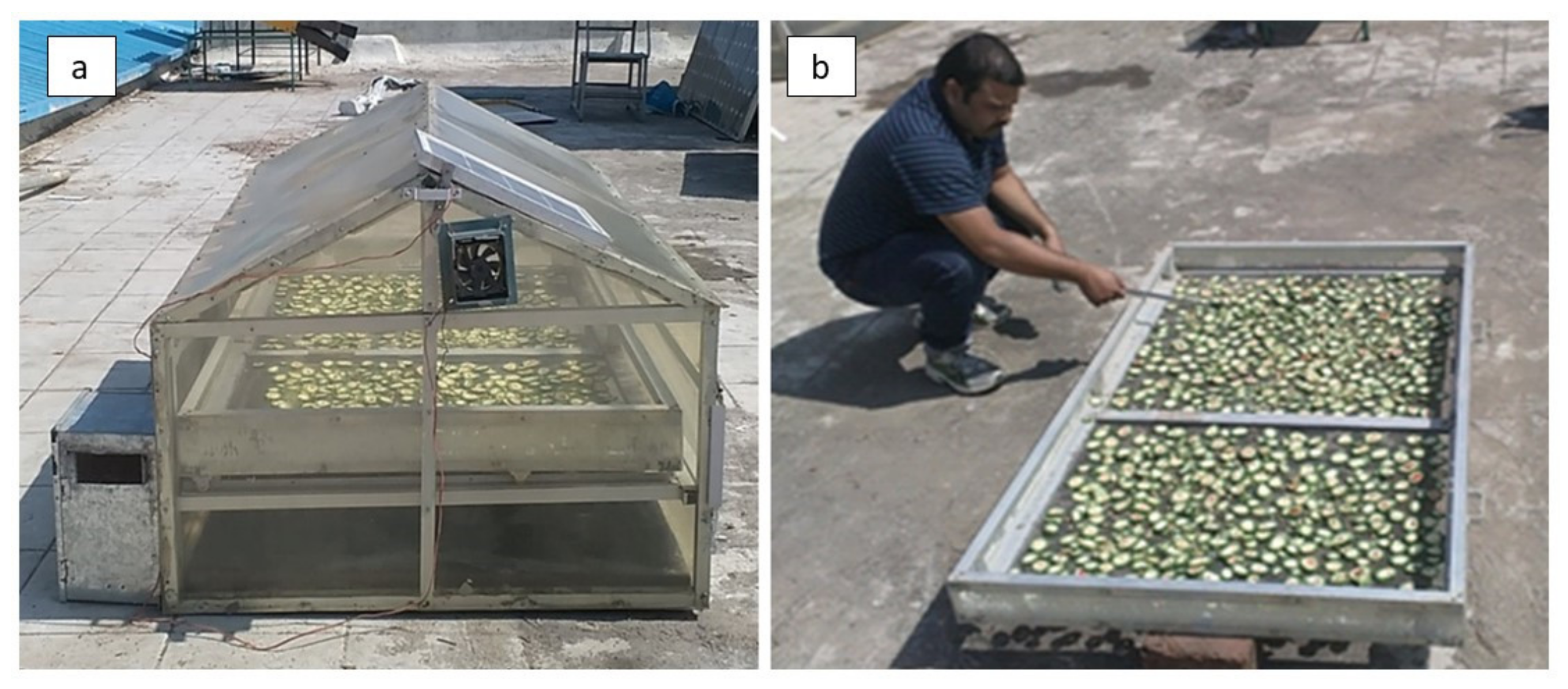Sustainability 13 07025 g019 Sustainability 13 07025 g019