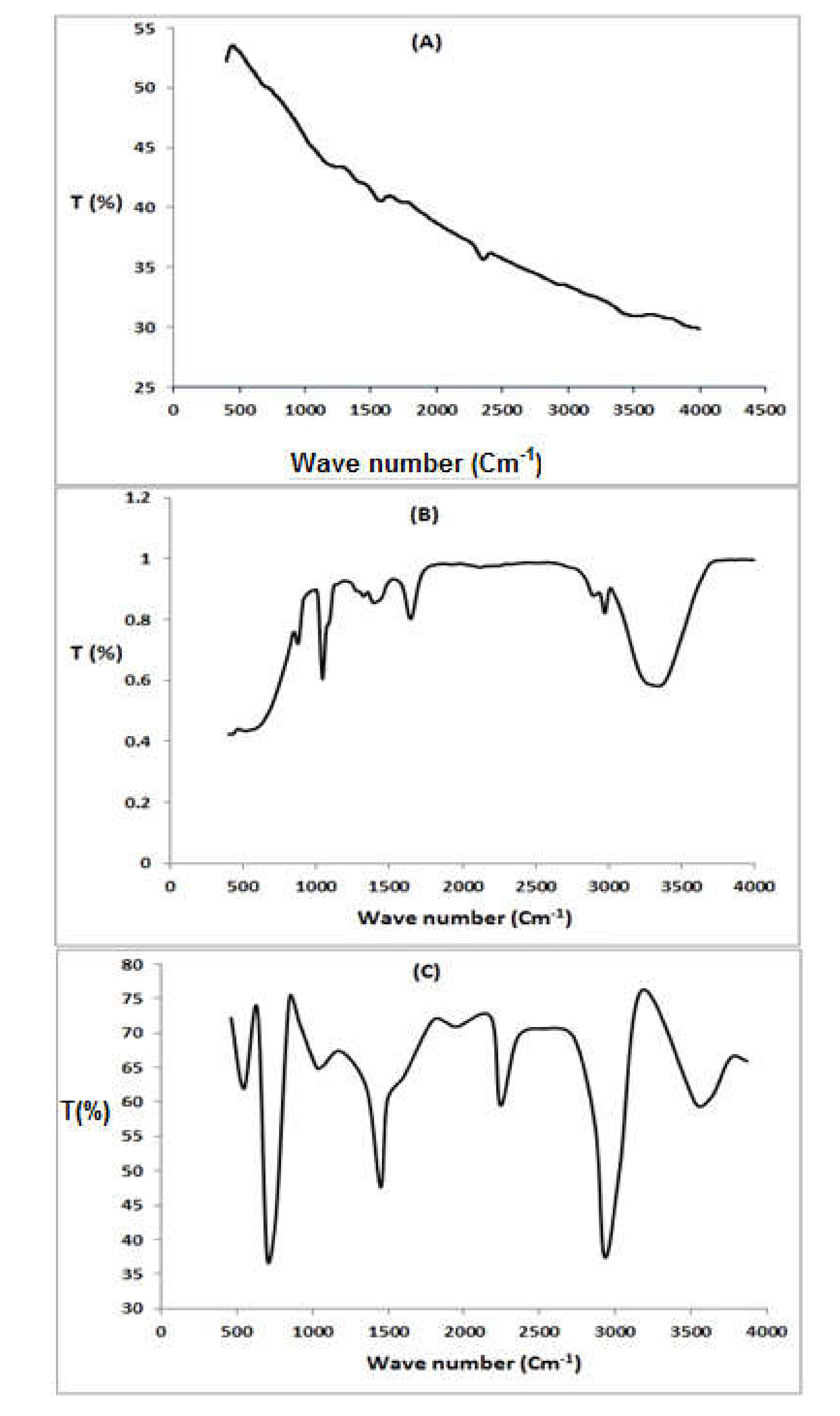 Sustainability 13 07077 g002