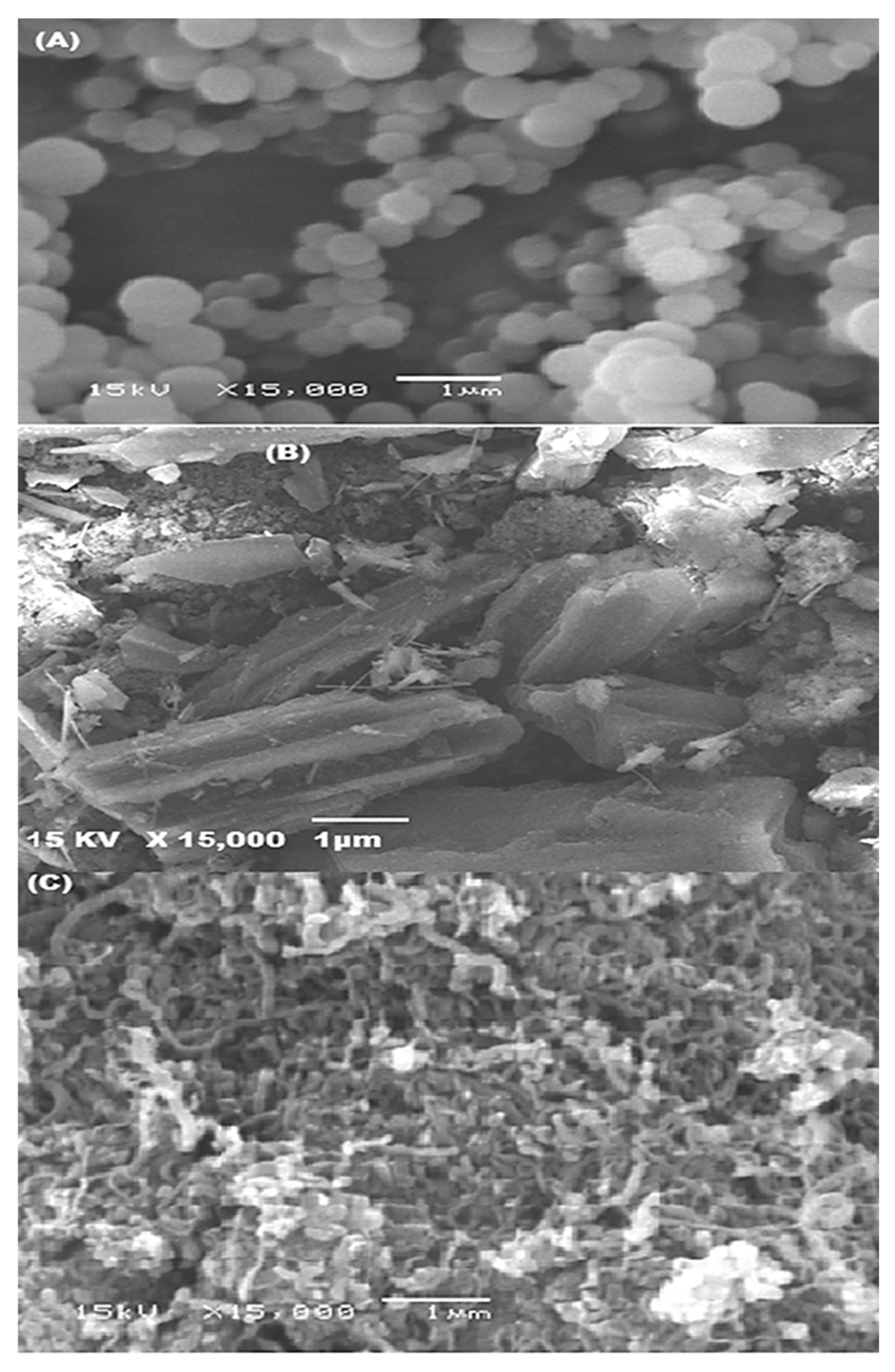 Sustainability 13 07077 g003