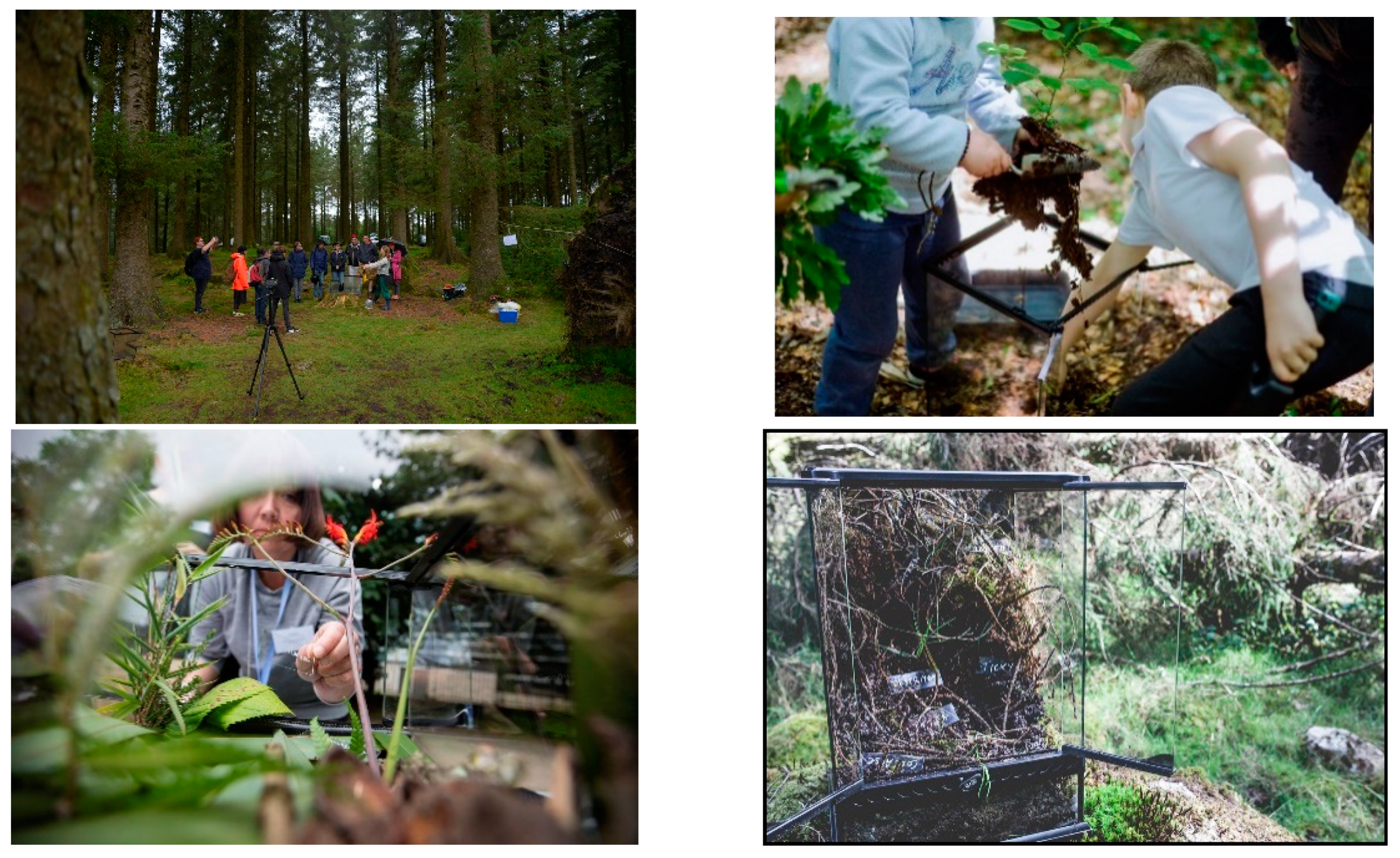 Sustainability 13 07128 g001