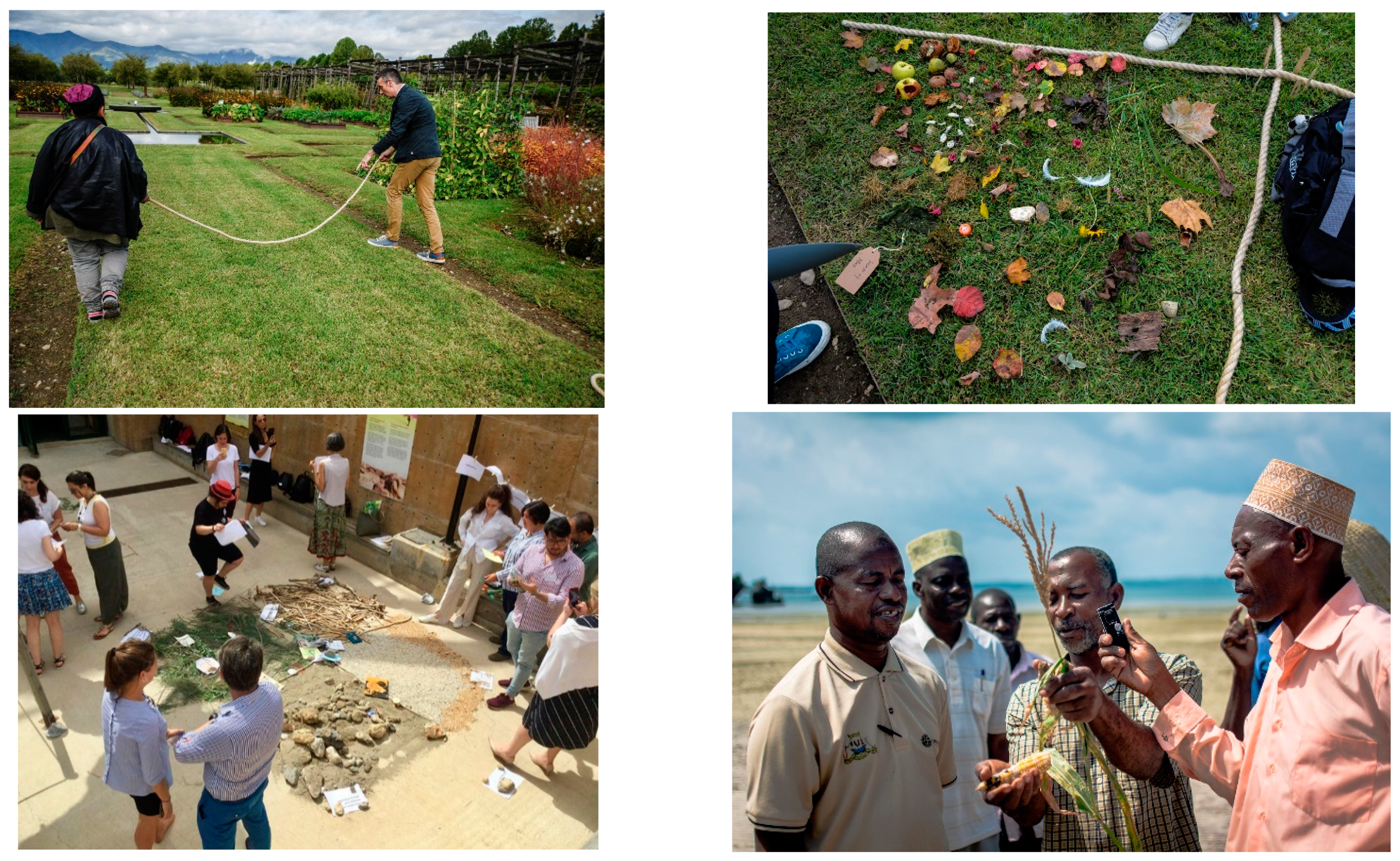 Sustainability 13 07128 g002