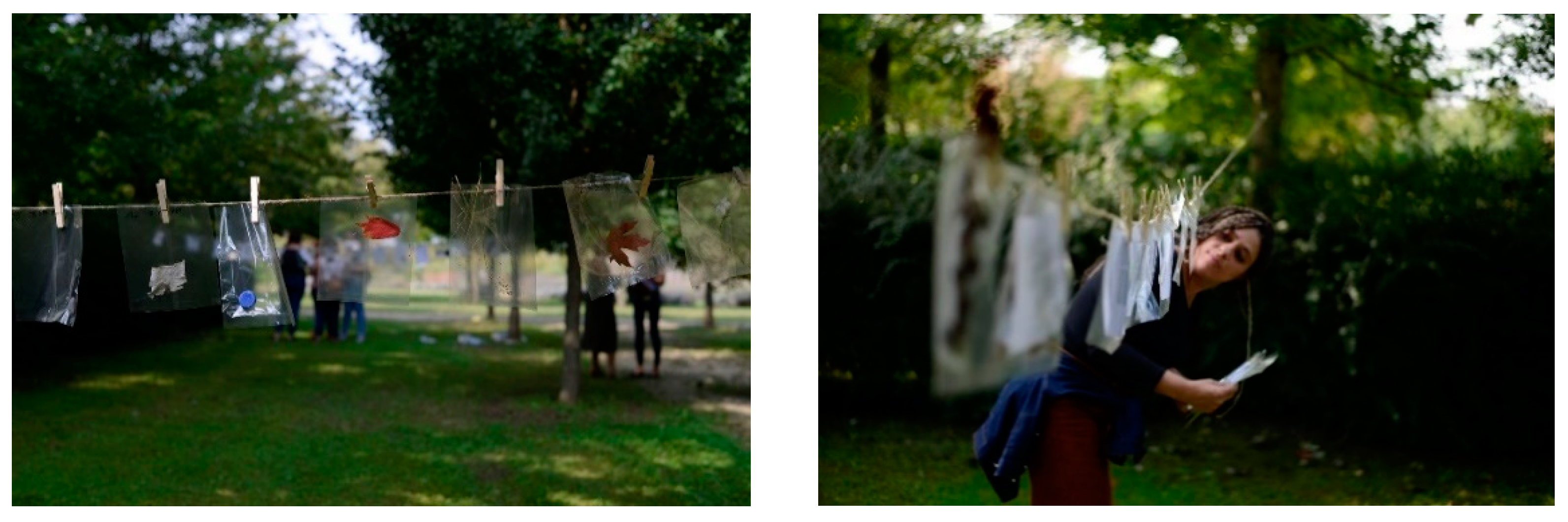 Sustainability 13 07128 g003