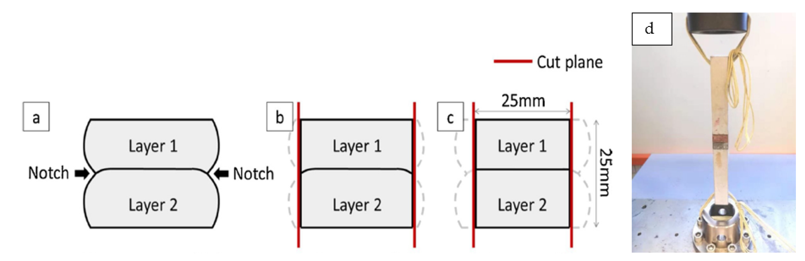 Sustainability 13 07137 g003