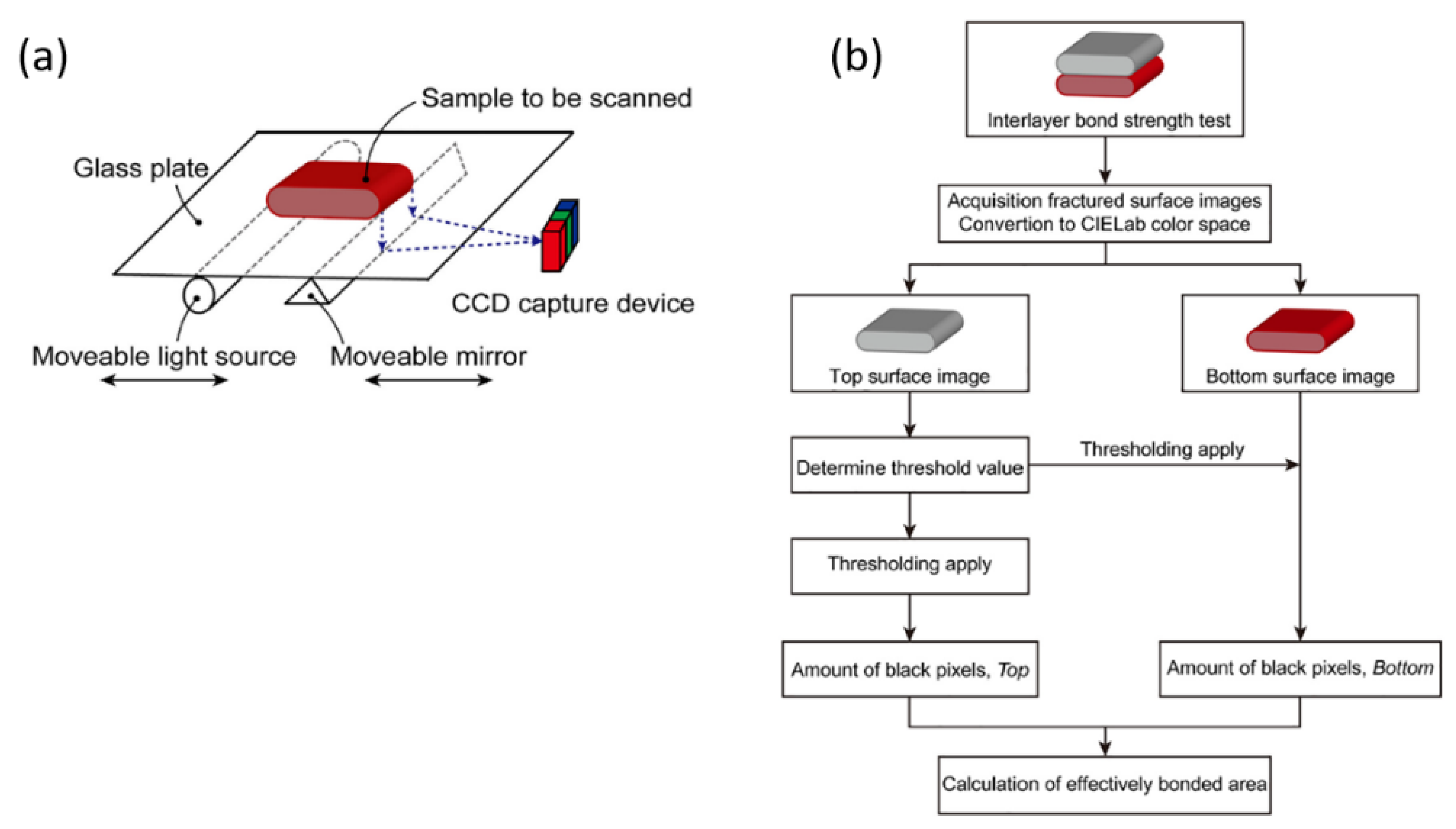 Sustainability 13 07137 g011