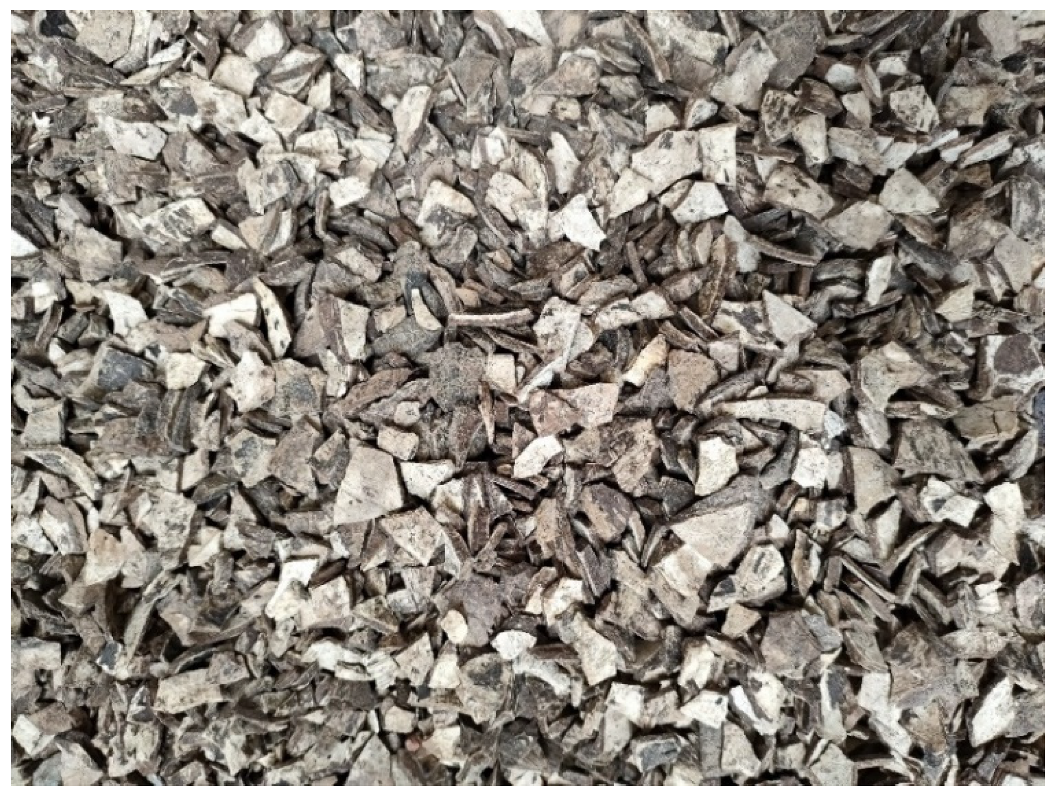 Sustainability 13 07157 g001