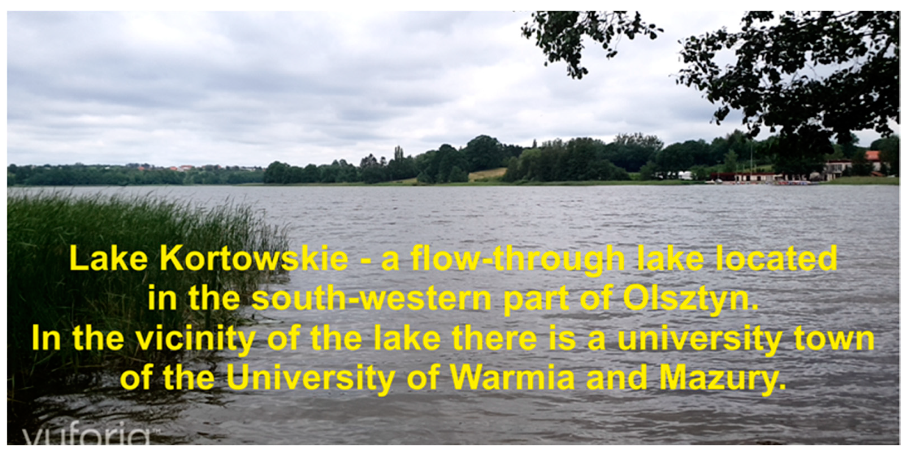 Sustainability 13 07172 g007