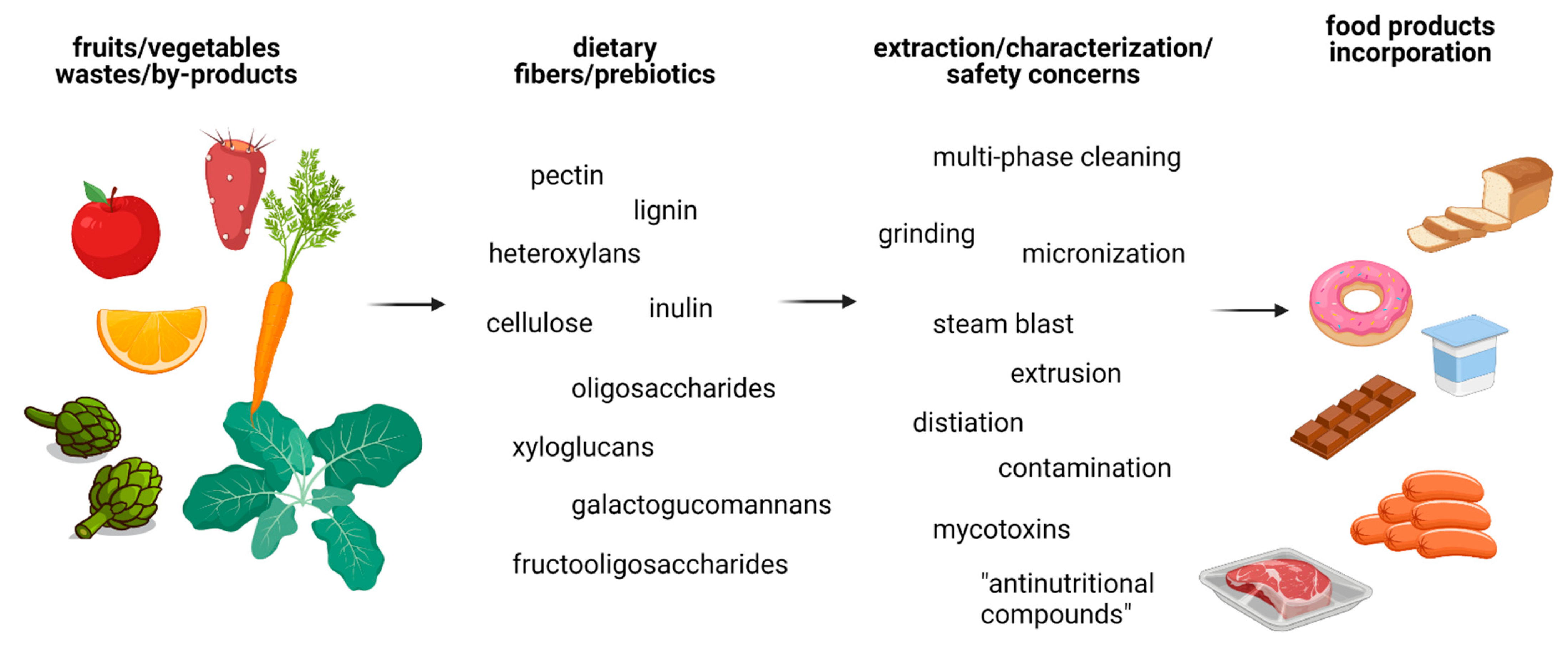 Sustainability 13 07219 g001