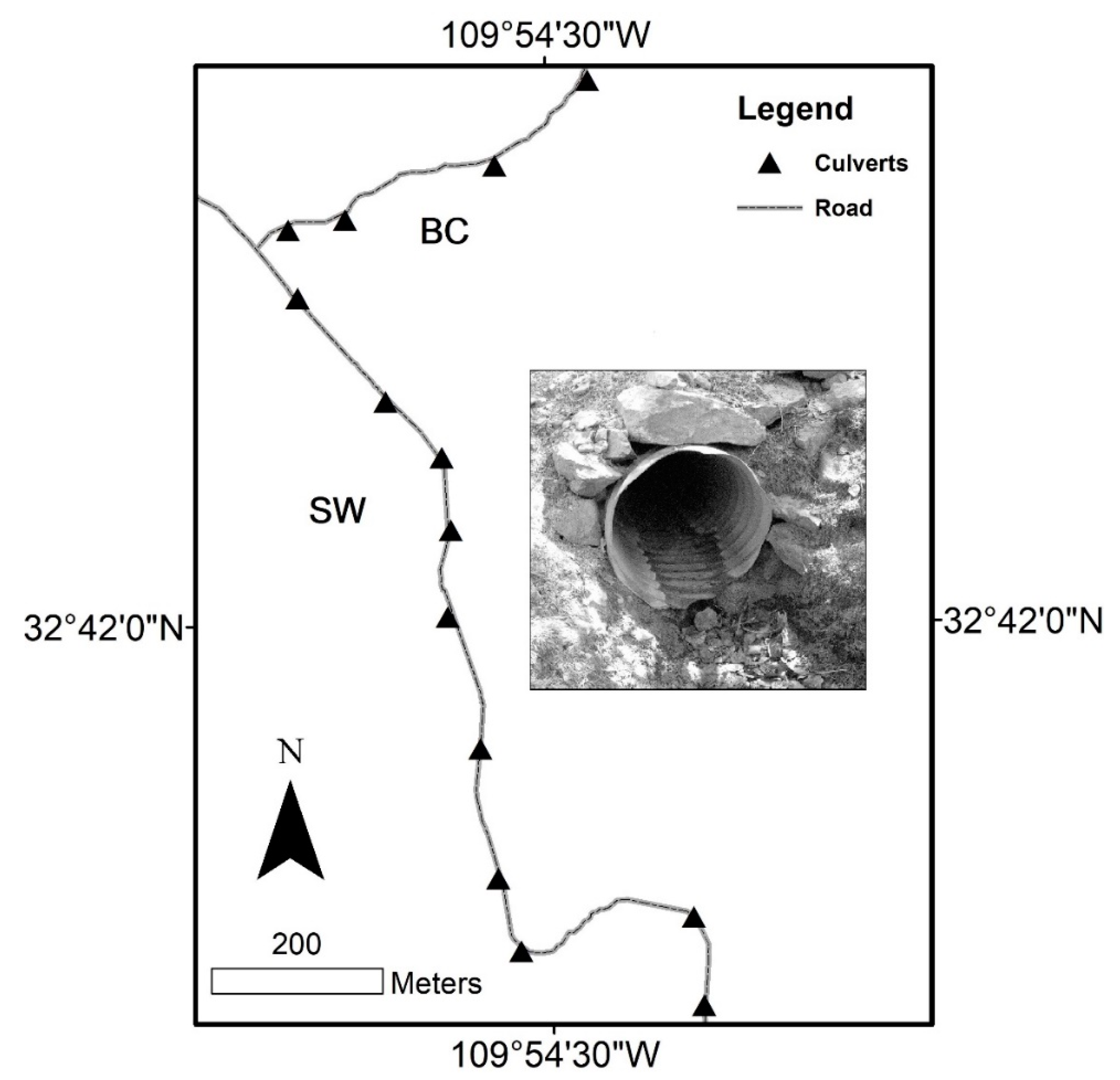 Sustainability 13 07224 g001