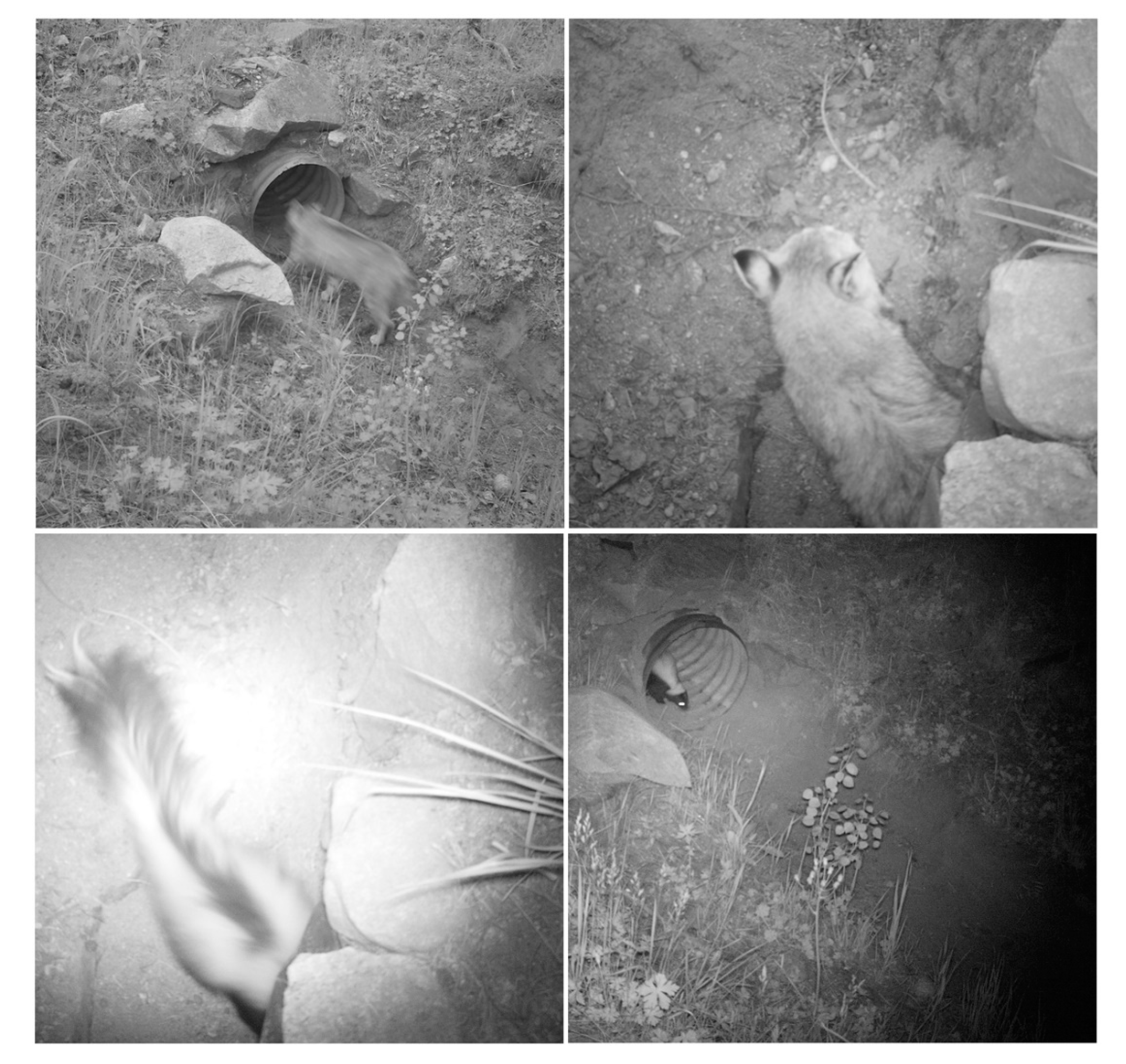 Sustainability 13 07224 g003