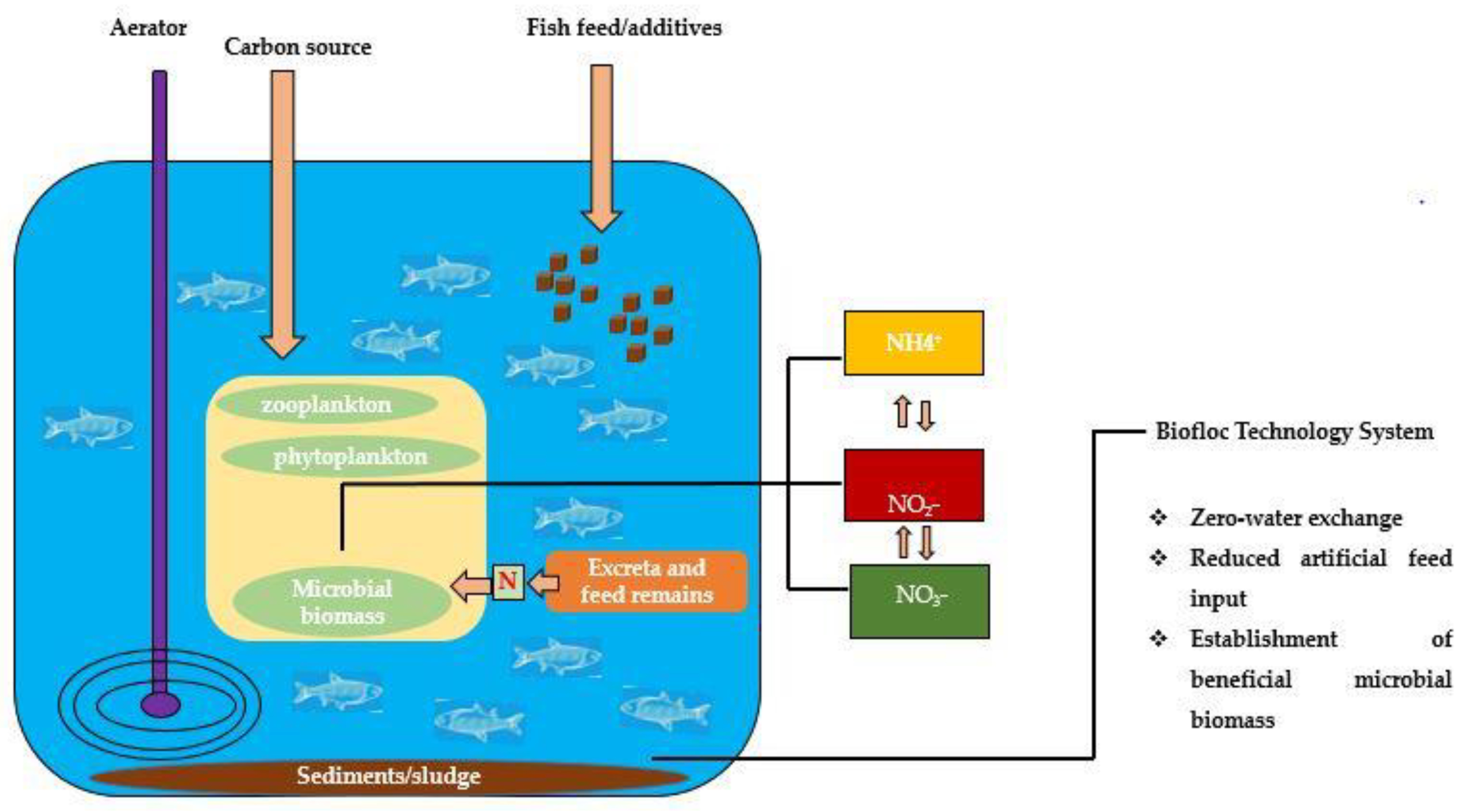 Sustainability 13 07255 g001