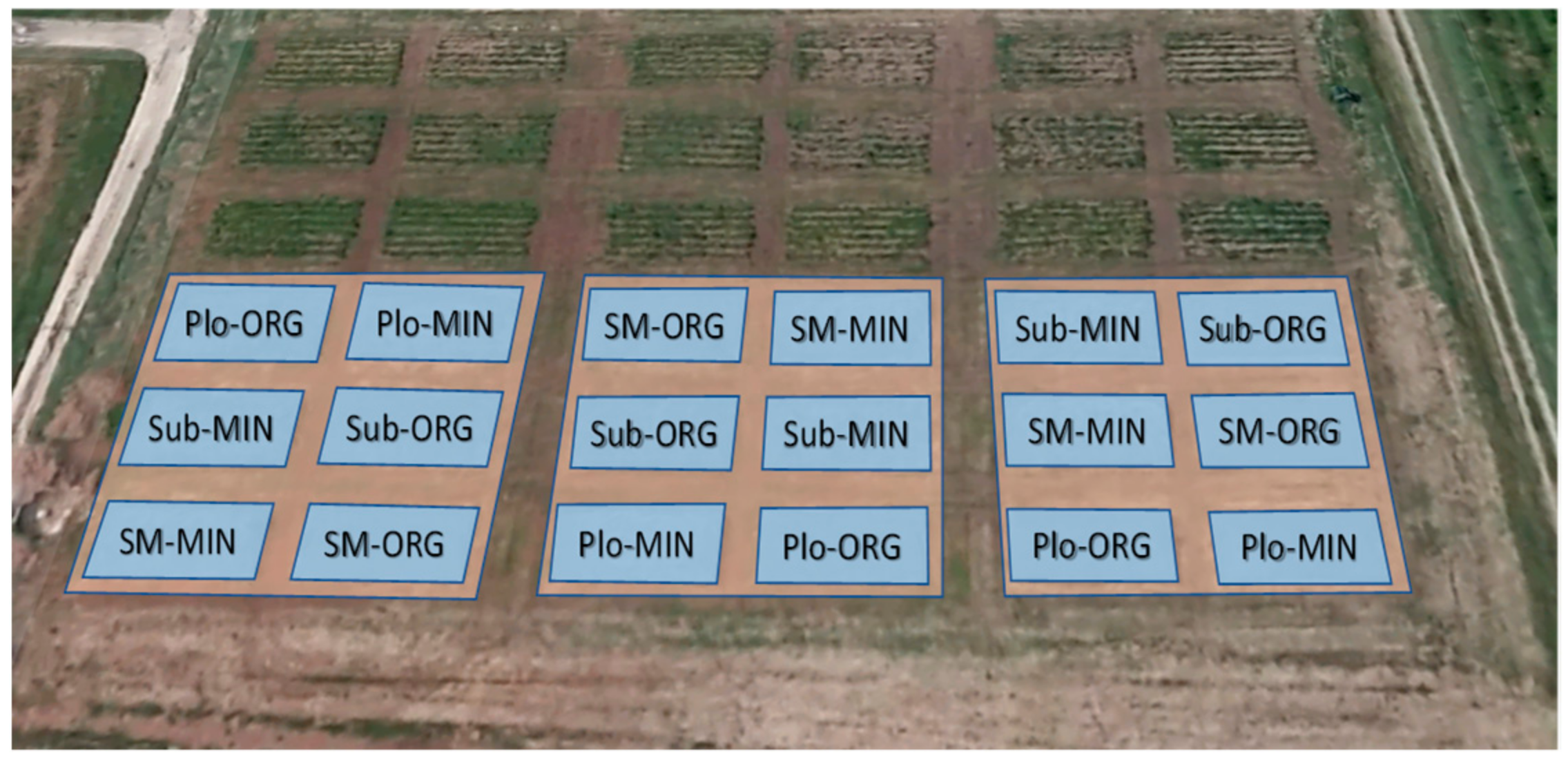 Sustainability 13 07307 g001