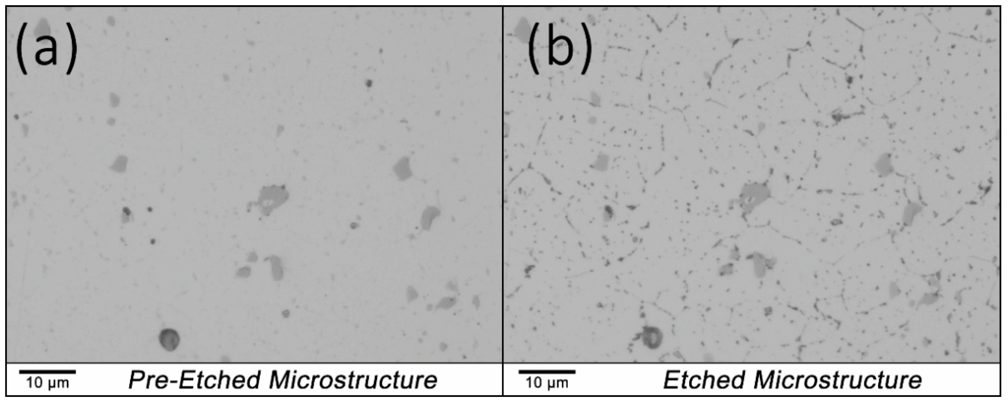 Sustainability 13 07342 g001