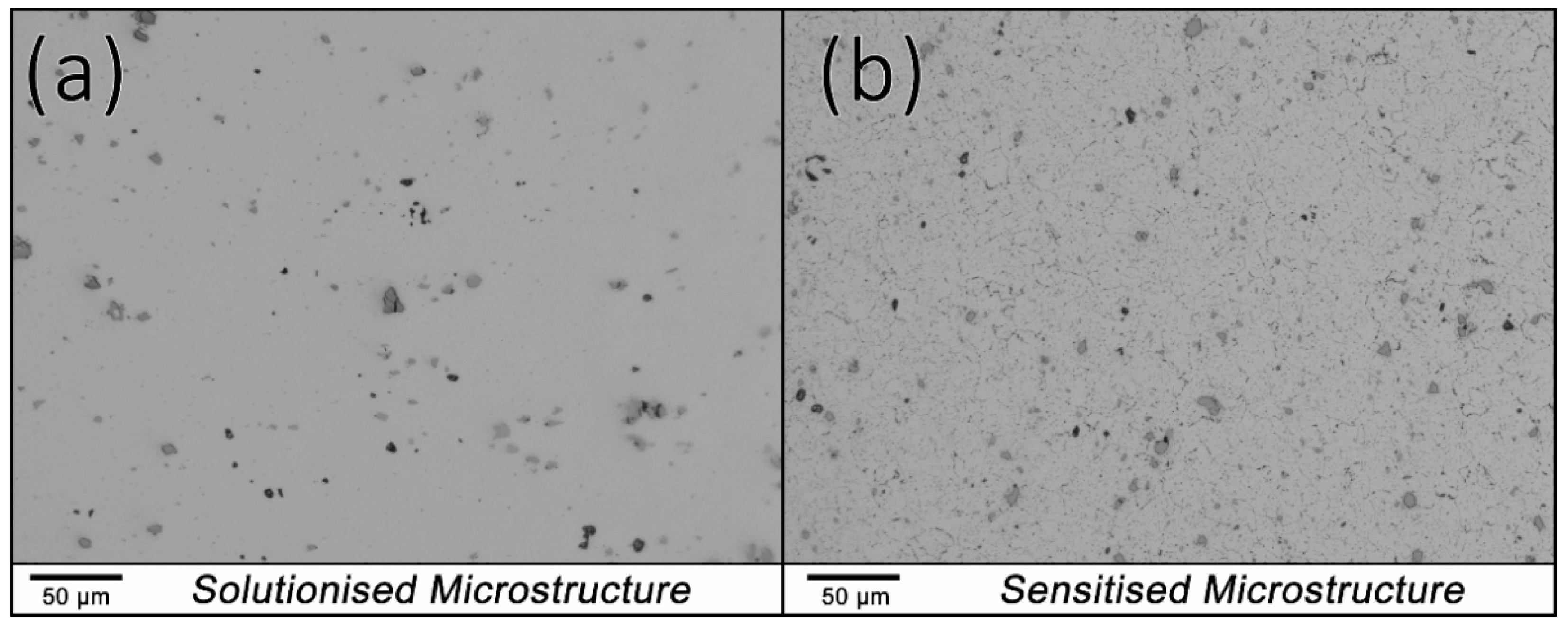 Sustainability 13 07342 g002