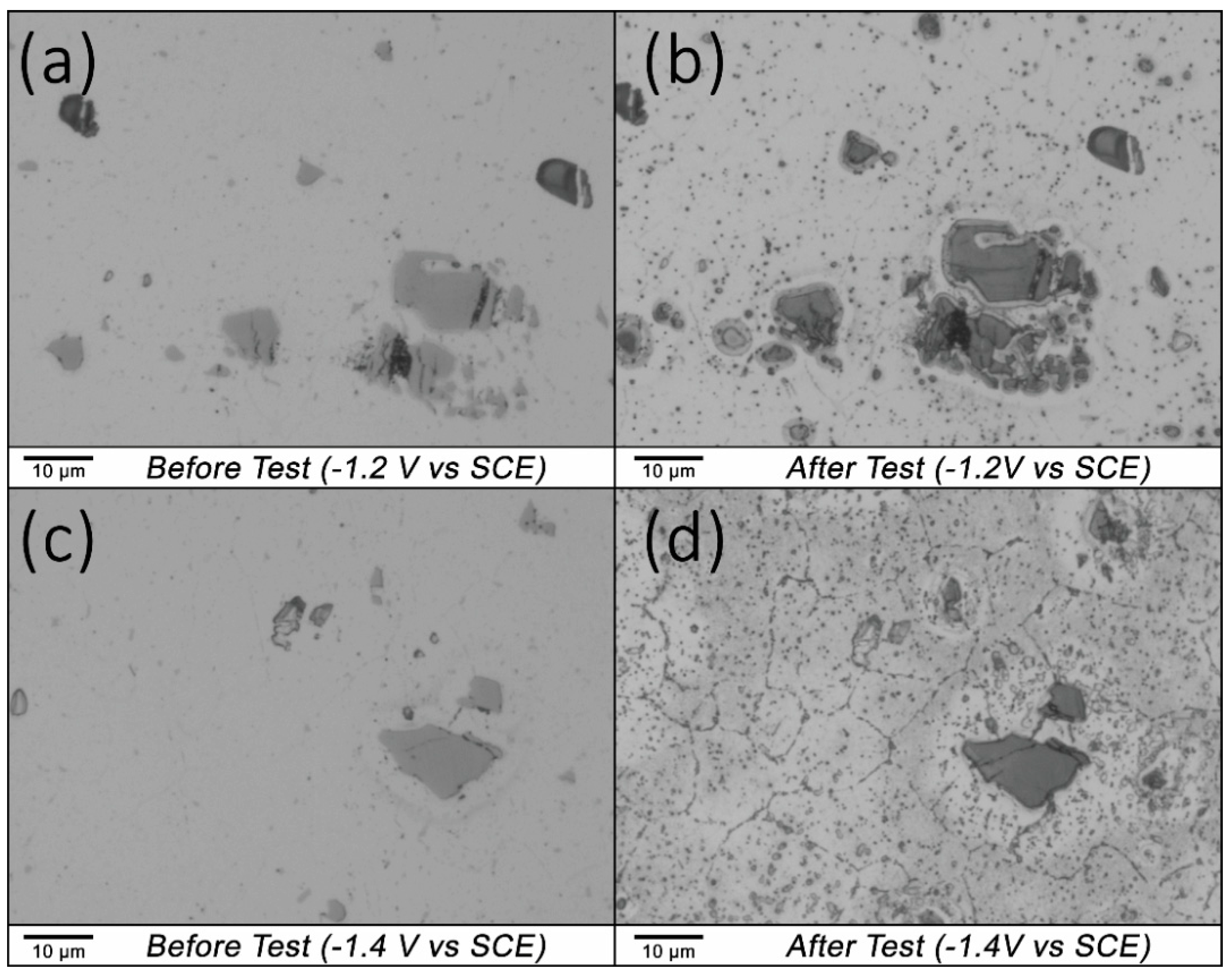 Sustainability 13 07342 g005