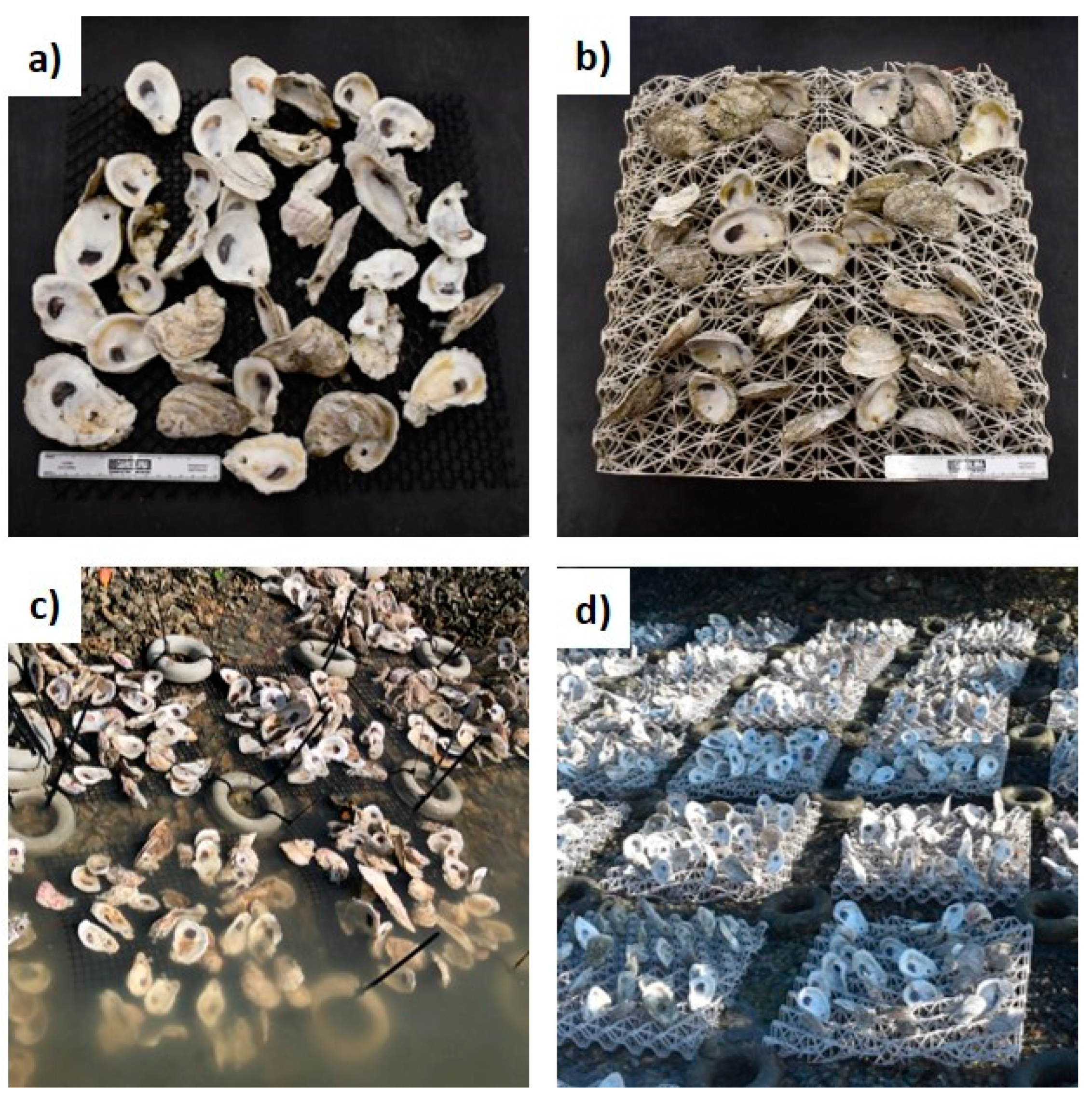 Sustainability 13 07415 g001