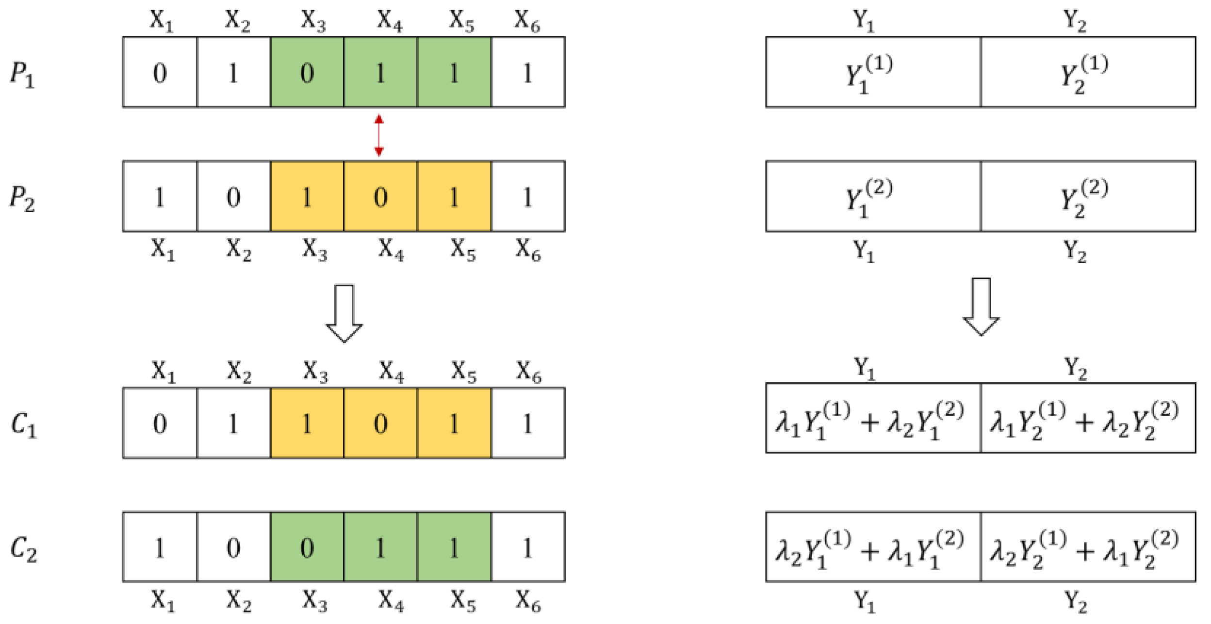Sustainability 13 07418 g005