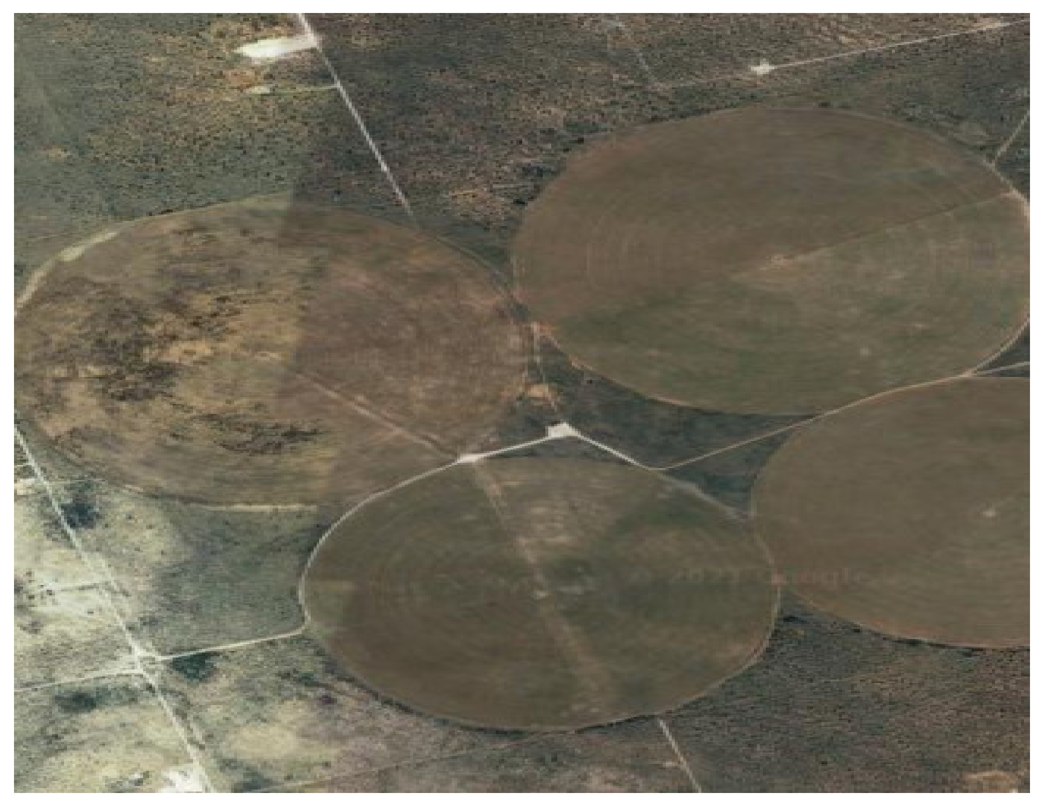 Sustainability 13 07513 g006