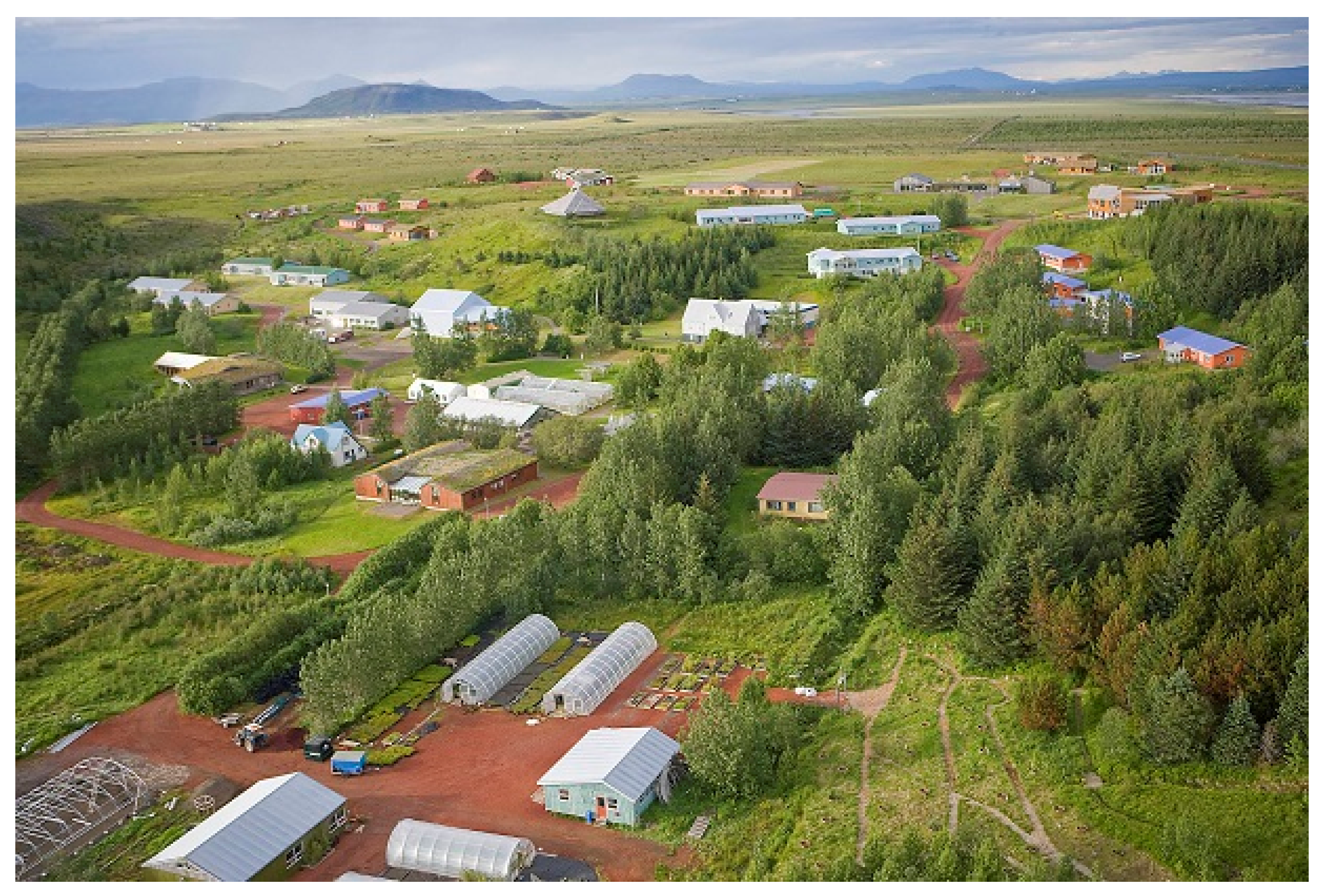 Sustainability 13 07521 g009