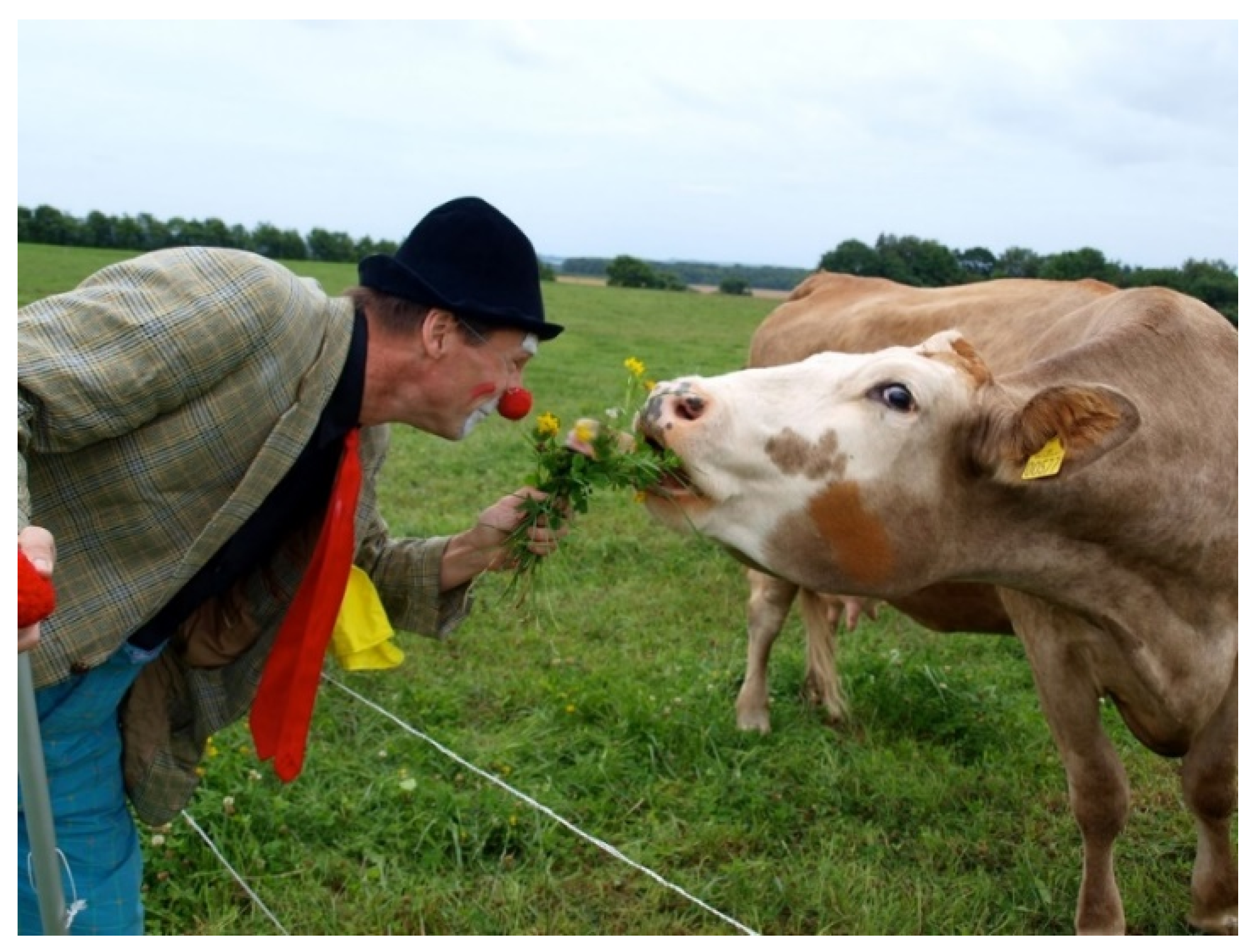 Sustainability 13 07521 g016