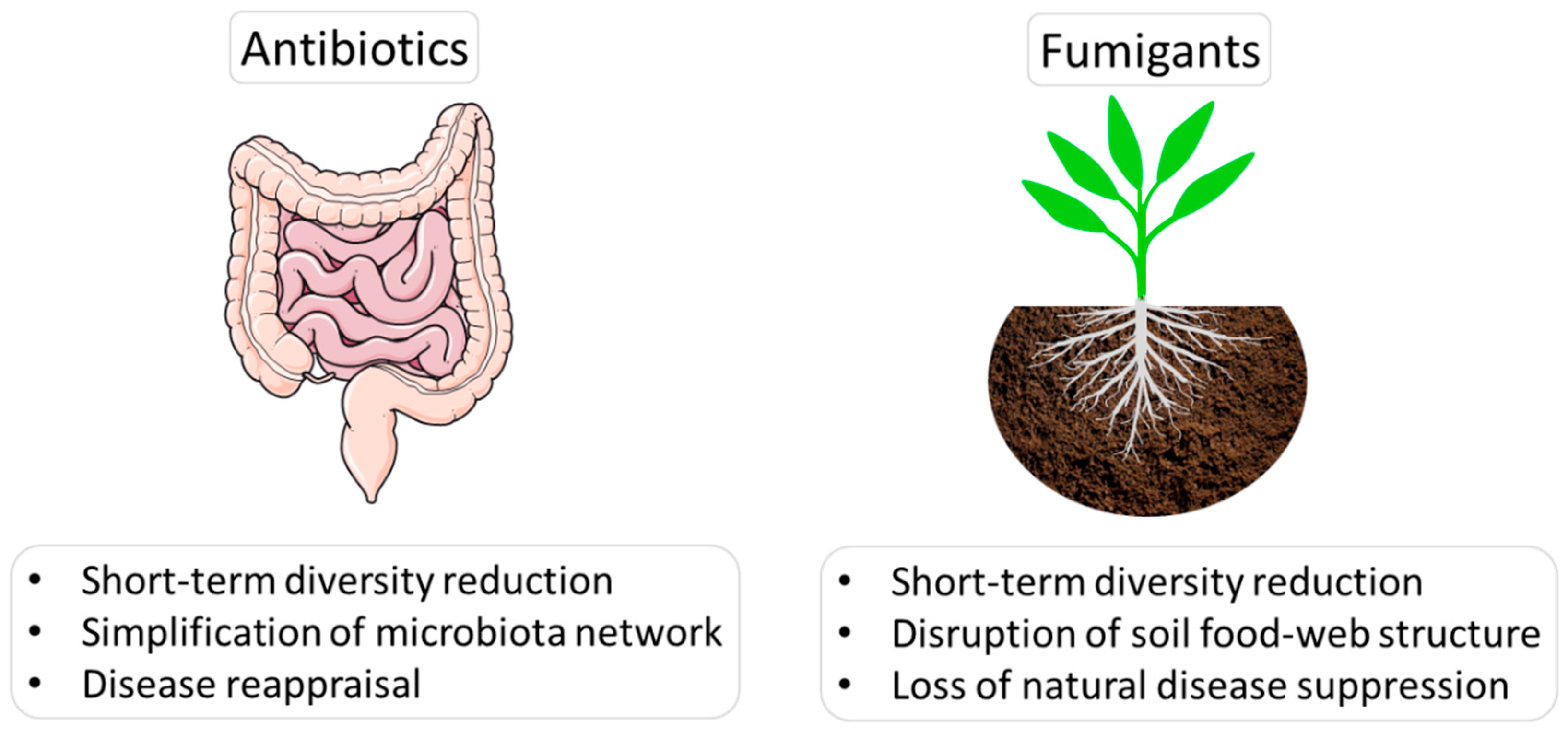 Sustainability 13 07608 g001