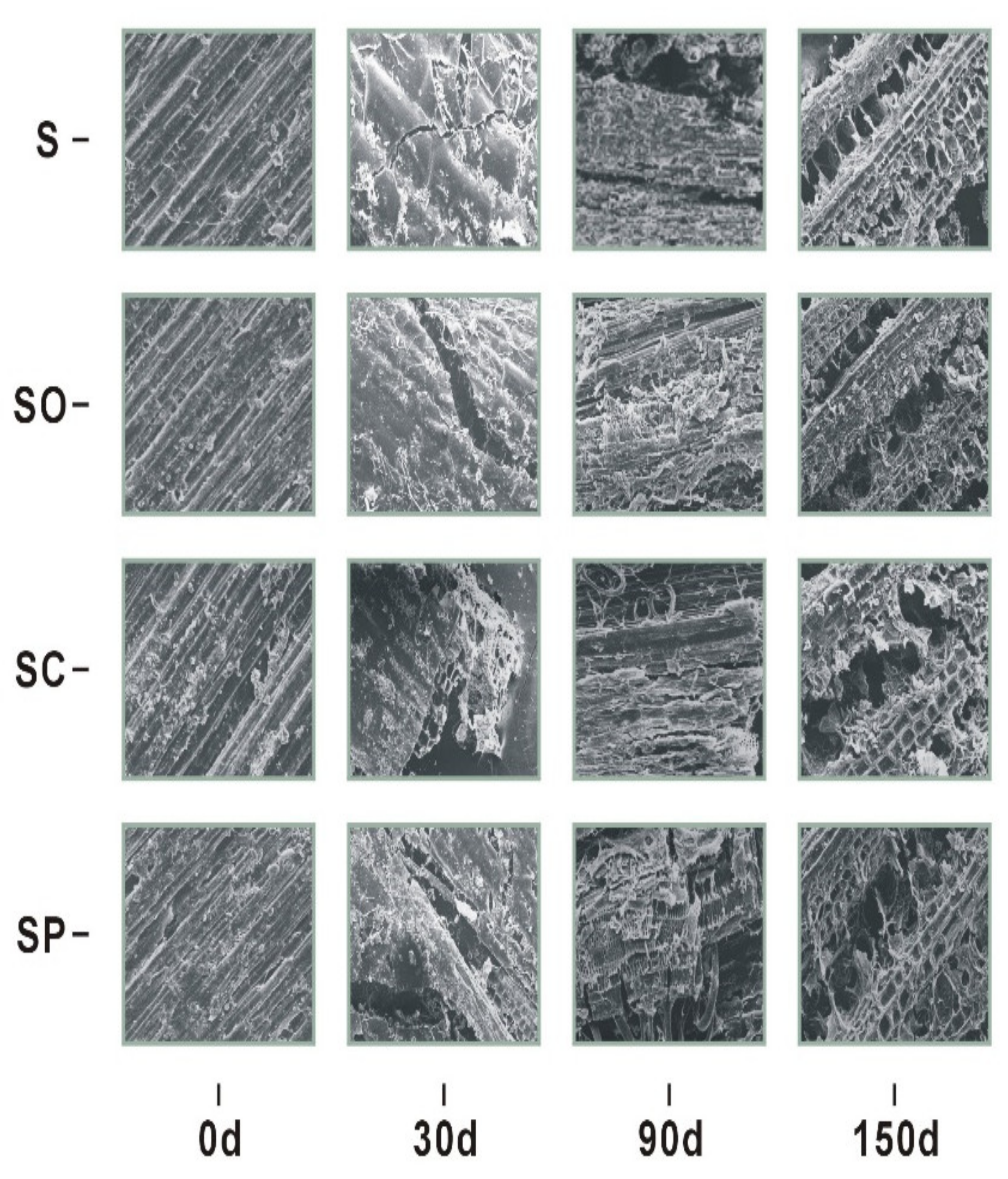 Sustainability 13 07609 g006