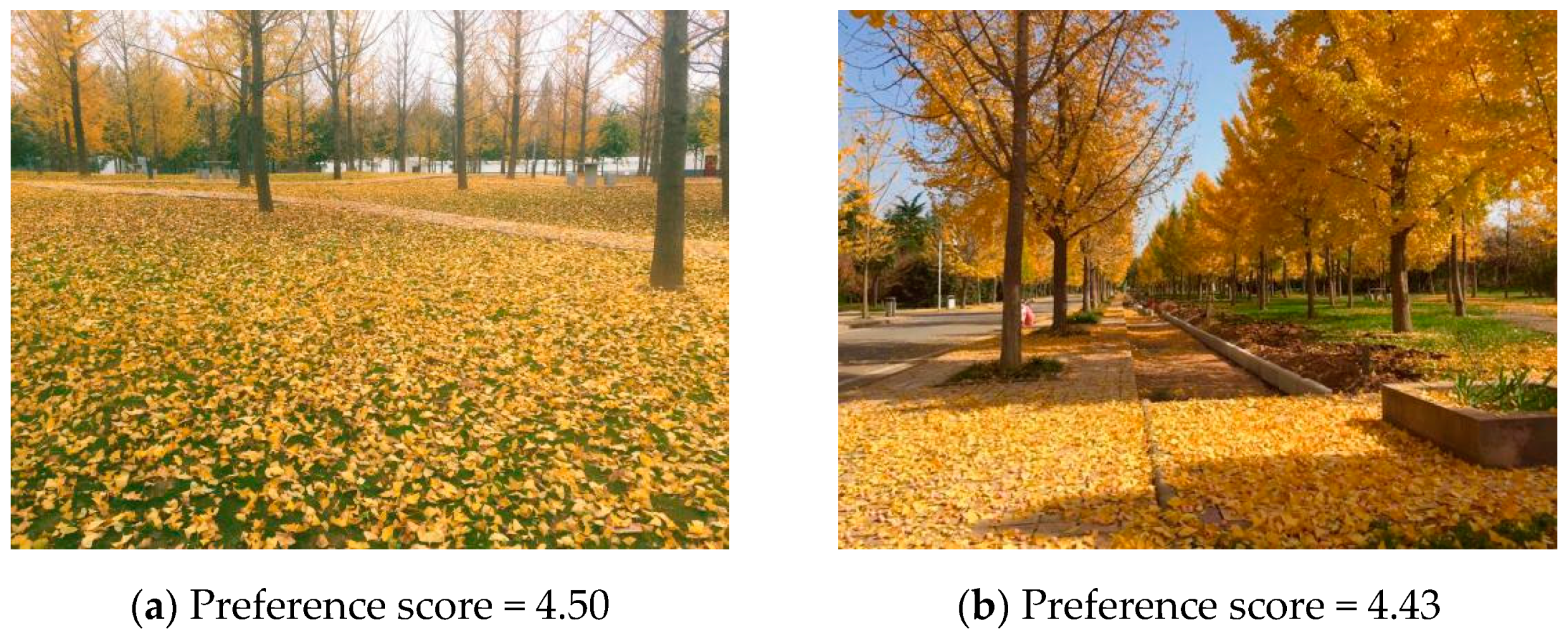 Sustainability 13 07615 g001