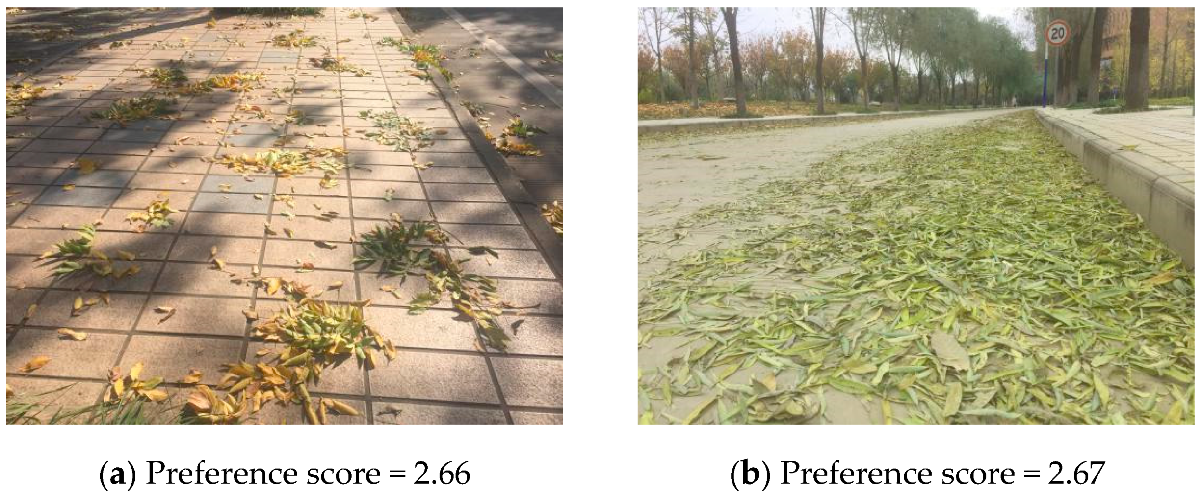 Sustainability 13 07615 g002